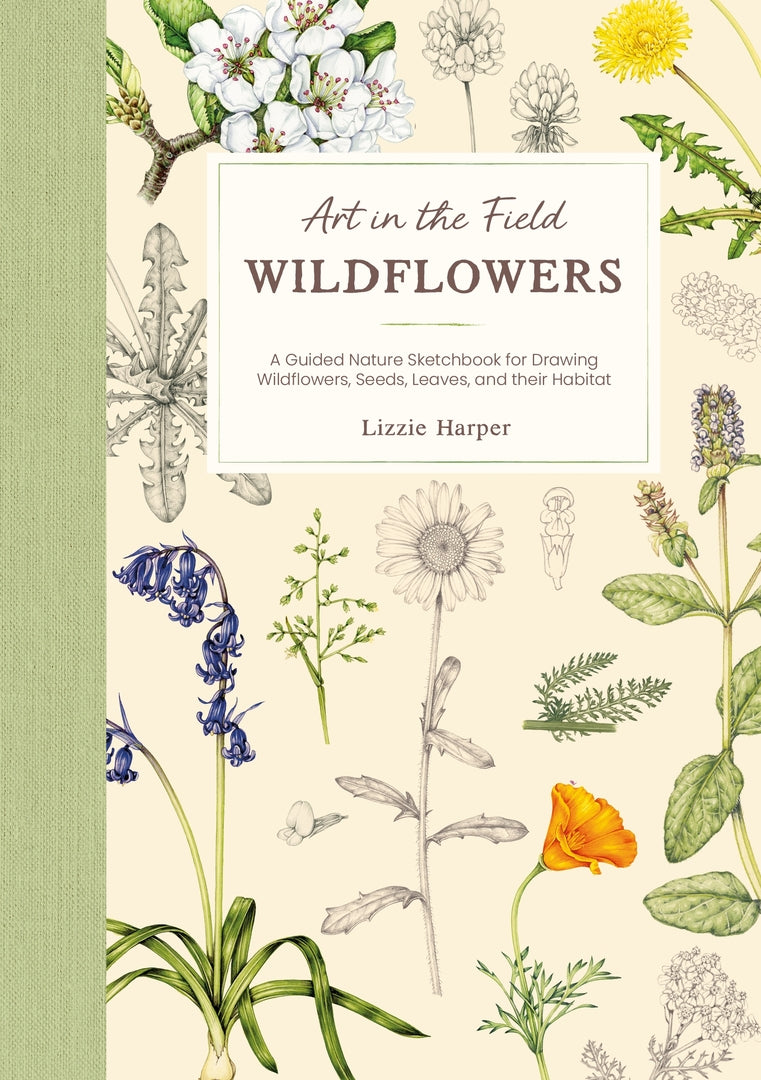 Cover image for Art in the Field: Wildflowers ISBN 9781446318652