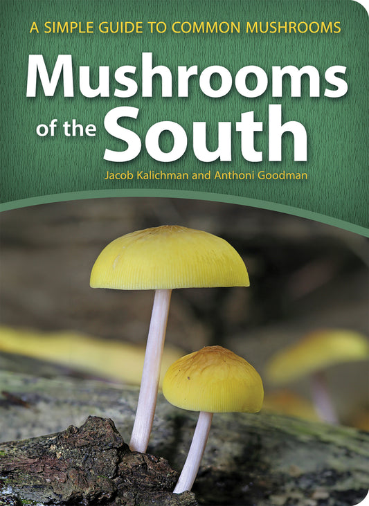 Mushrooms of the South