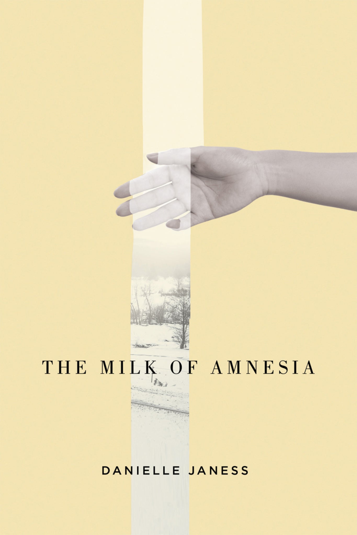 Cover image for The Milk of Amnesia ISBN 9780228004653