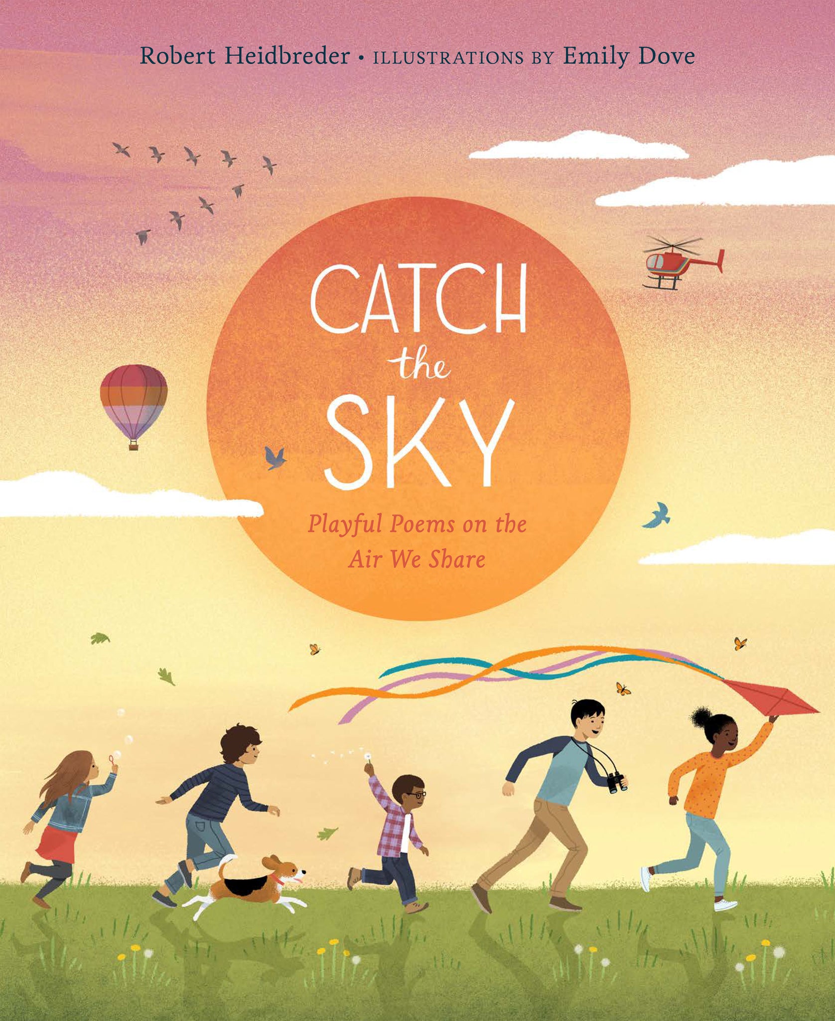 Cover image for Catch the Sky ISBN 9781771646314
