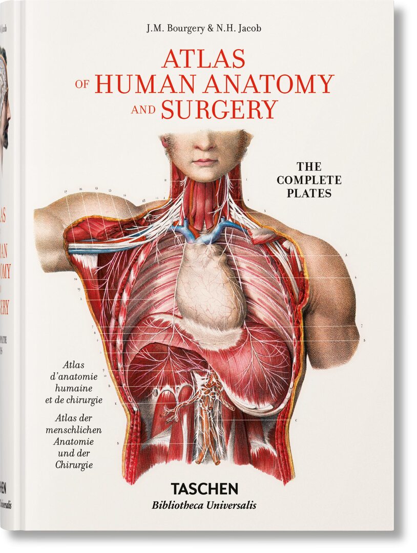 Cover image for Bourgery. Atlas of Human Anatomy and Surgery ISBN 9783836556620