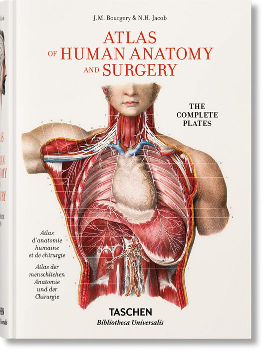 Bourgery. Atlas of Human Anatomy and Surgery