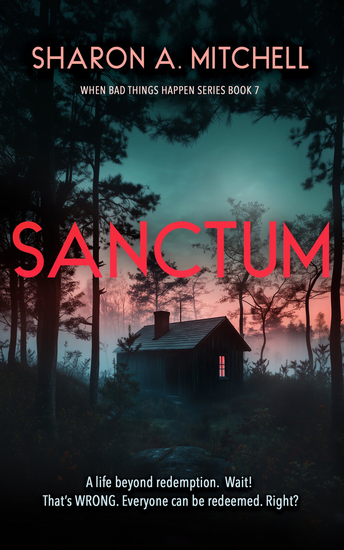 Cover image for Sanctum ISBN 9781036707569