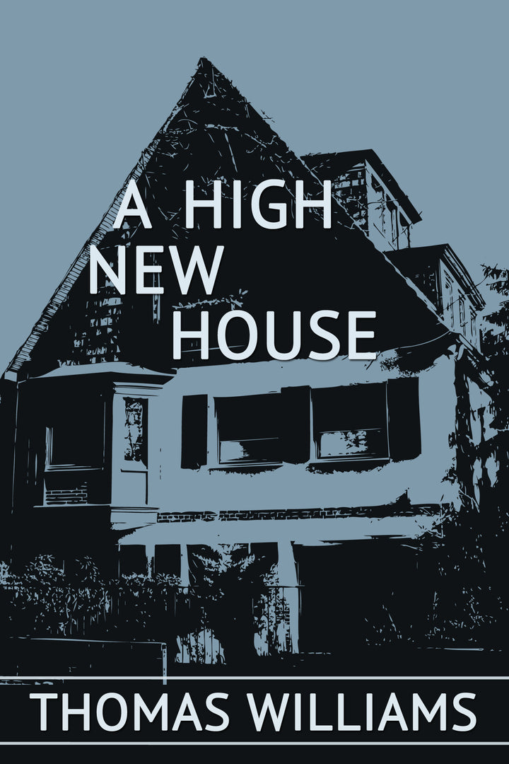 Cover image for A High New House ISBN 9781938103216