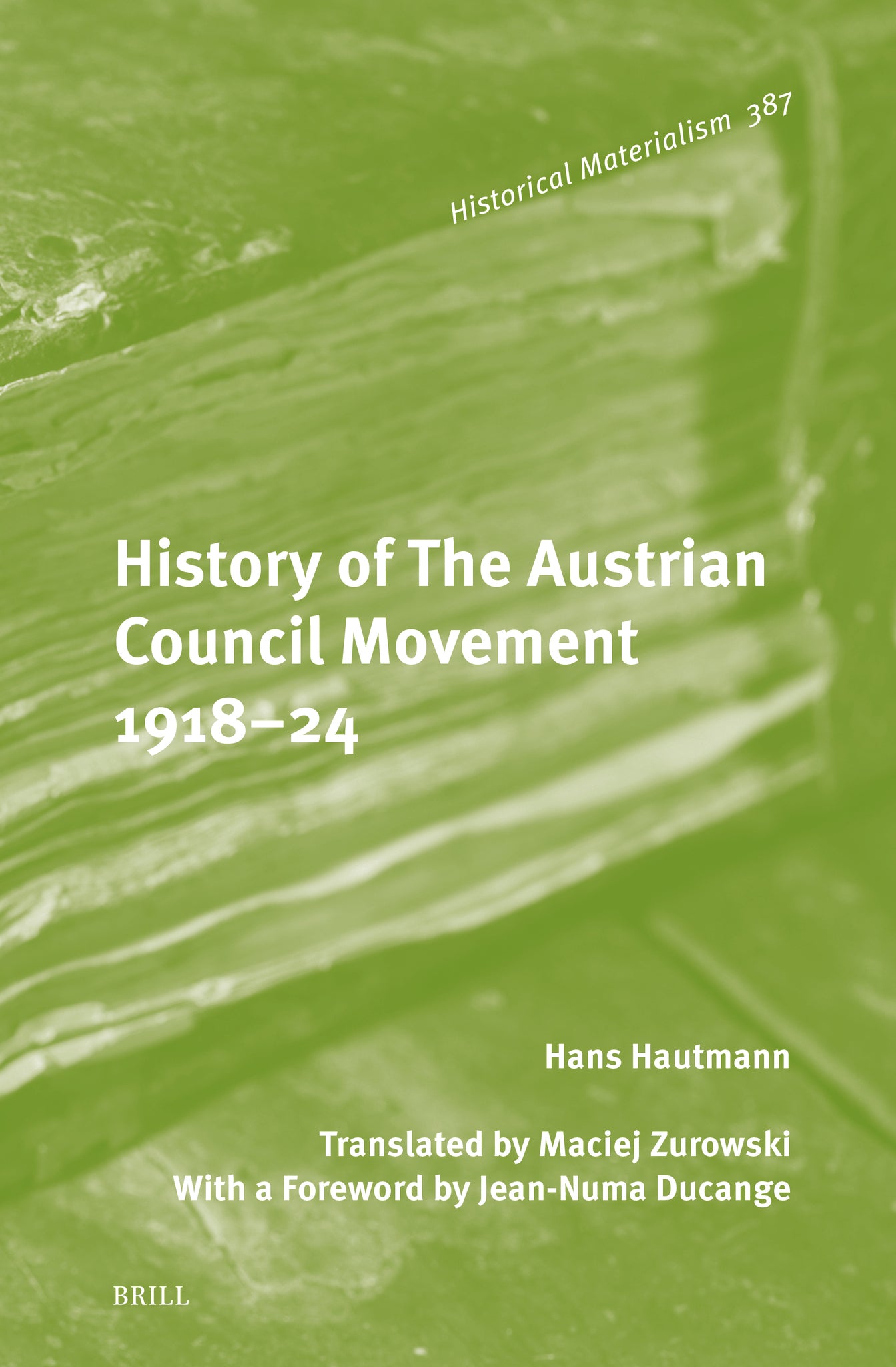 History of The Austrian Council Movement 1918–24
