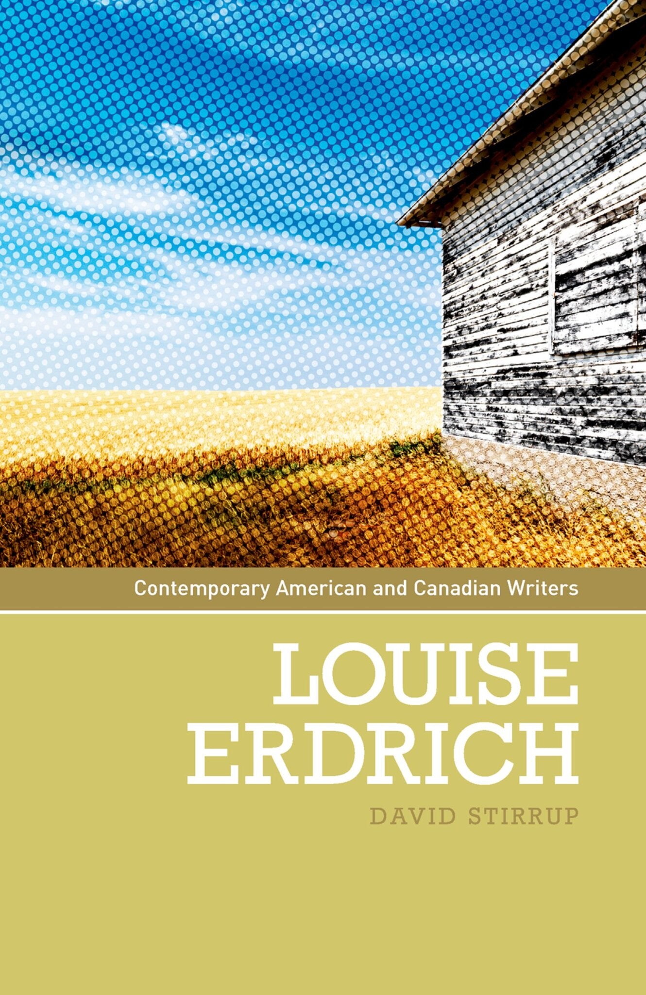 Cover image for Louise Erdrich ISBN 9780719074271