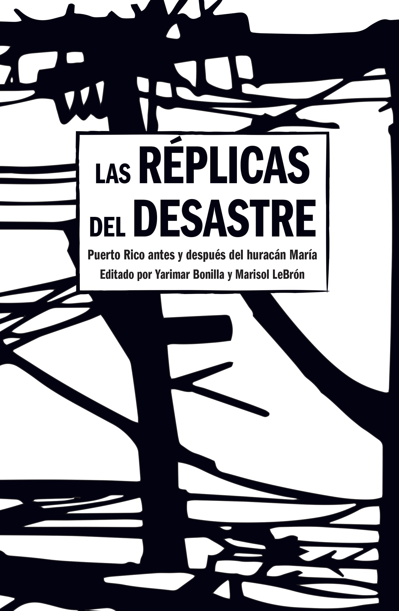 Cover image for Las Réplicas del Desastre ISBN 9781642597127