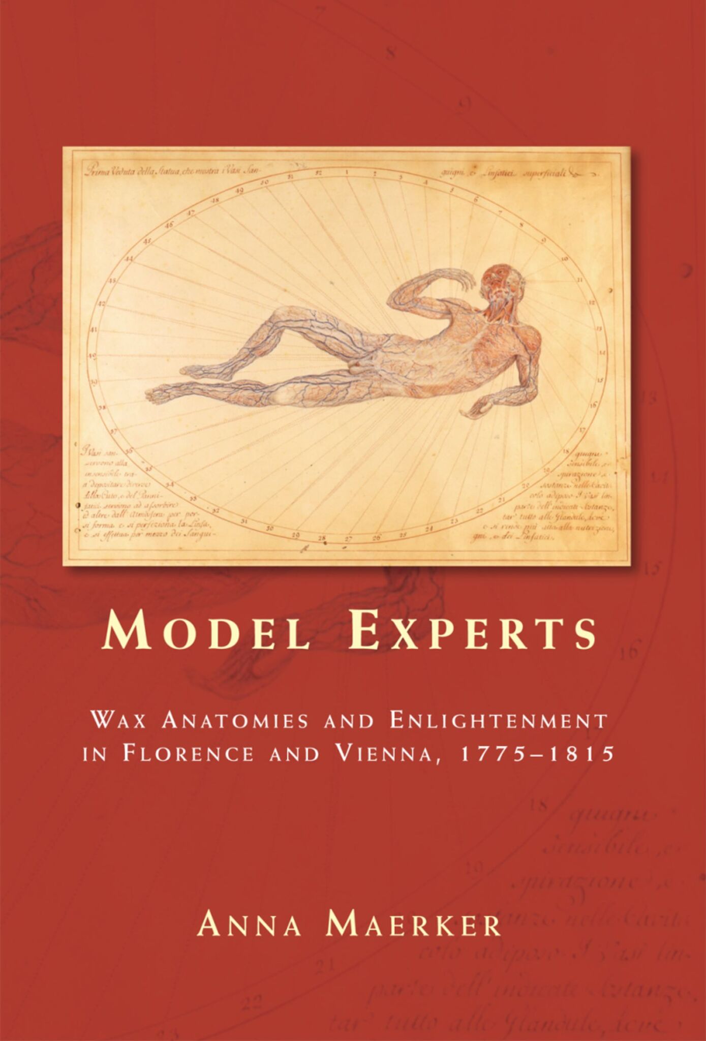 Model experts