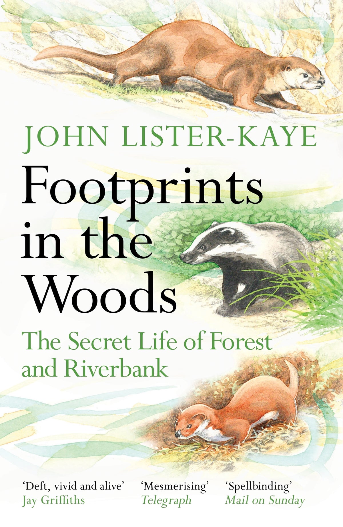 Cover image for Footprints in the Woods ISBN 9781838858803