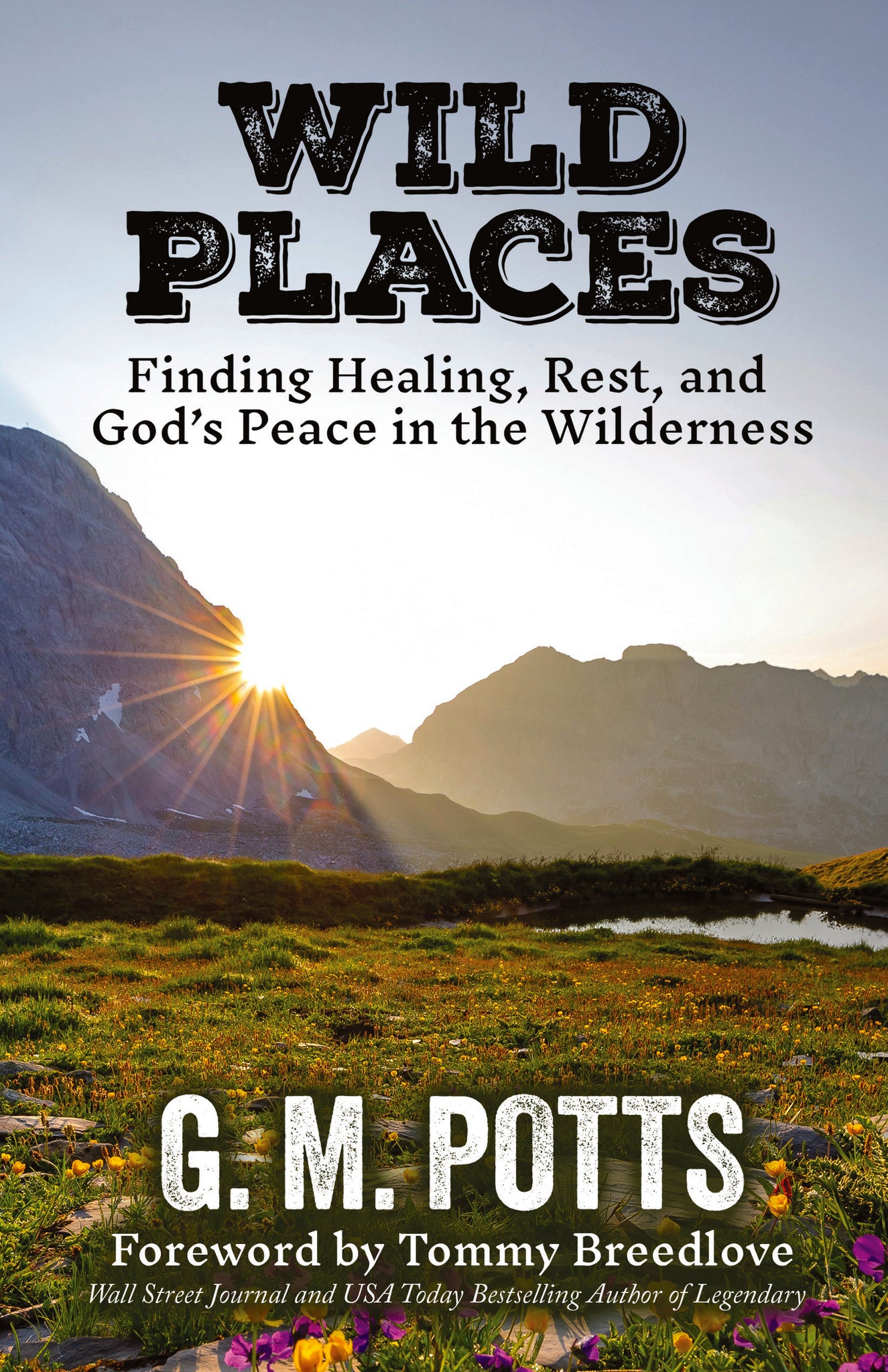 Wild Places
