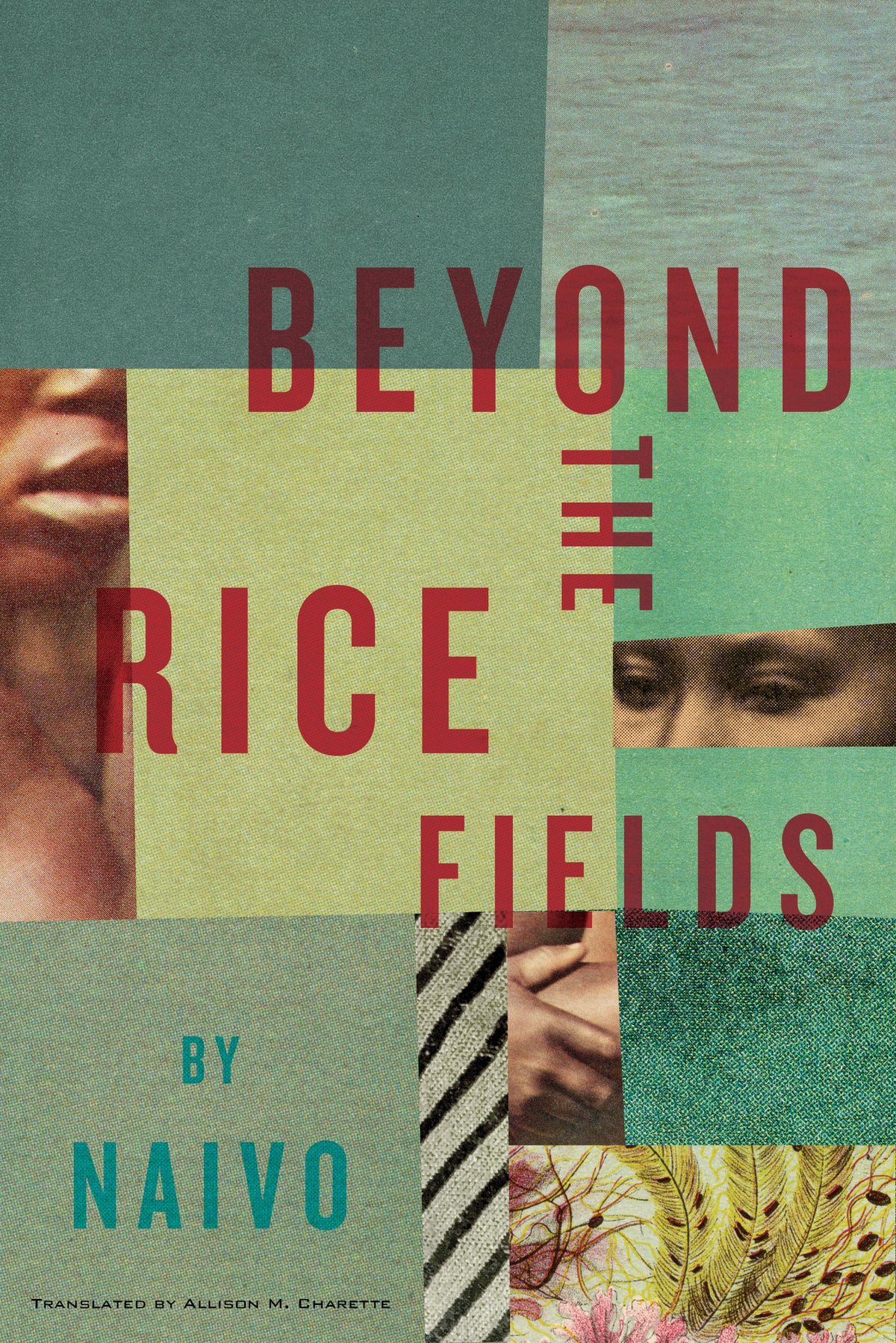 Cover image for Beyond the Rice Fields ISBN 9781632061317