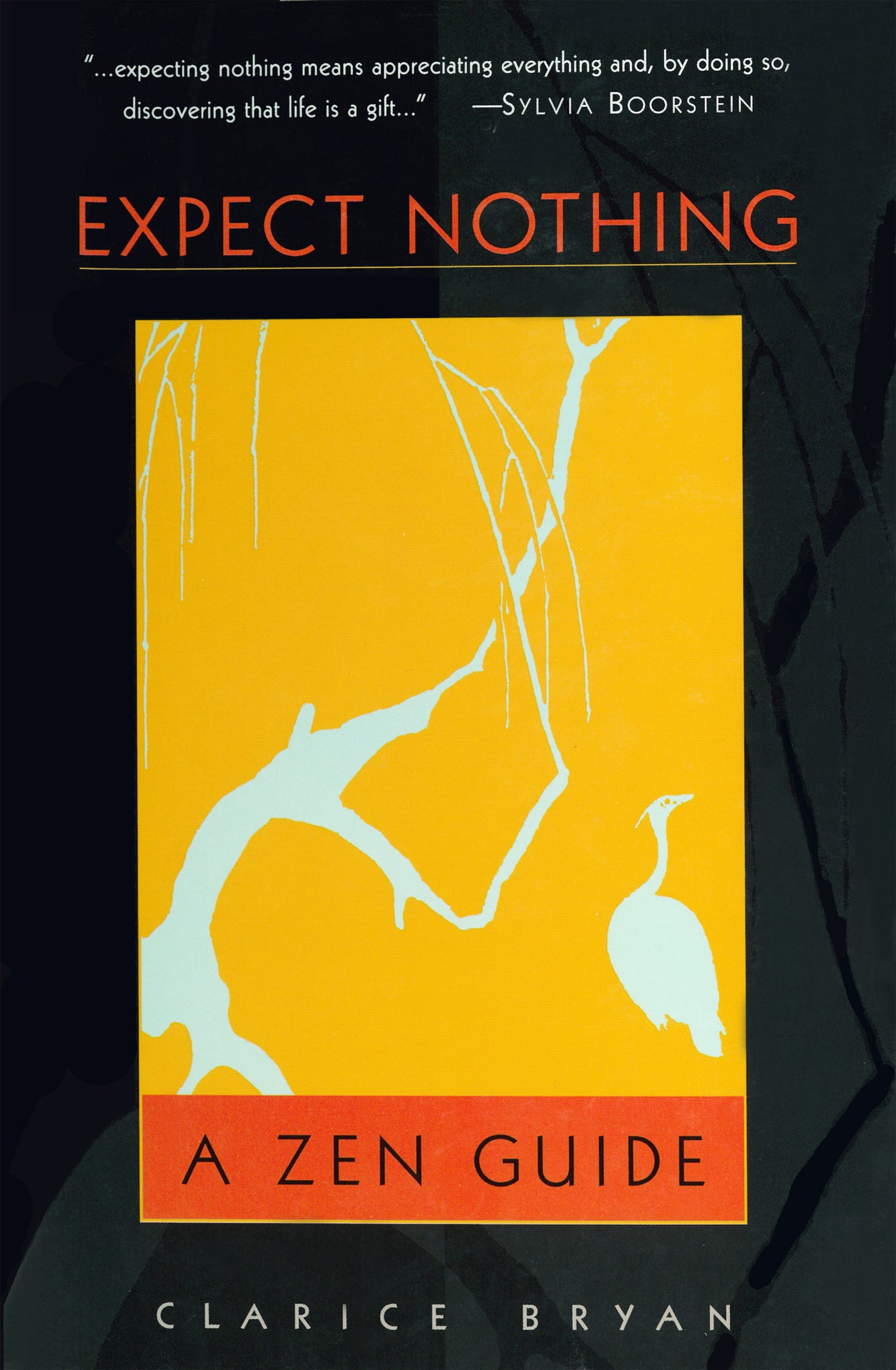 Cover image for Expect Nothing ISBN 9781462916825