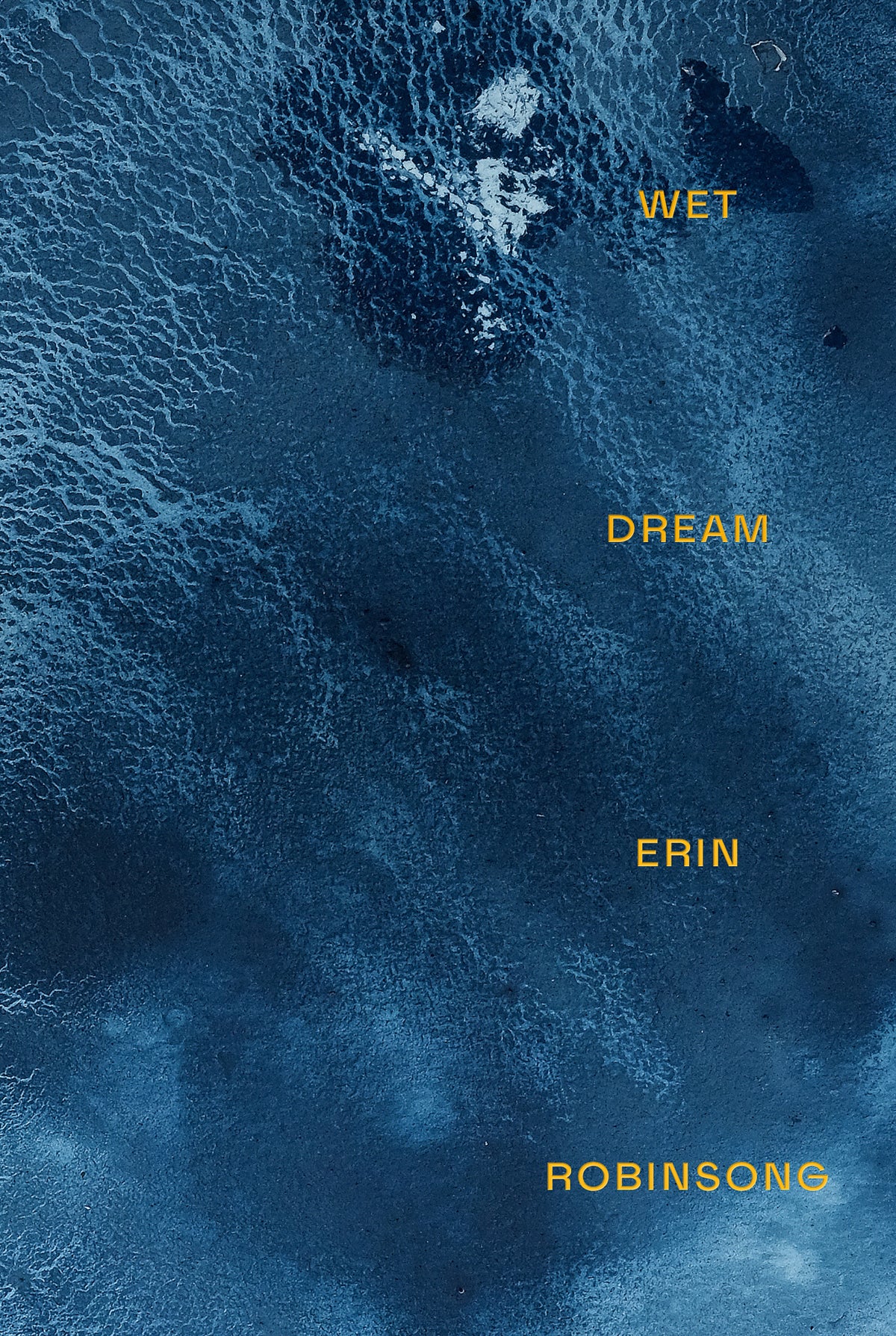 Cover image for Wet Dream ISBN 9781771315876