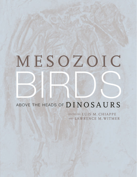 Mesozoic Birds