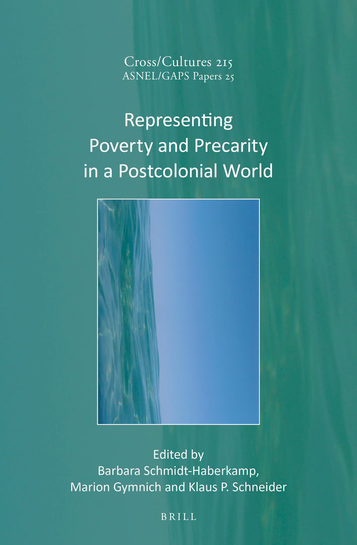 Cover image for Representing Poverty and Precarity in a Postcolonial World ISBN 9789004465657