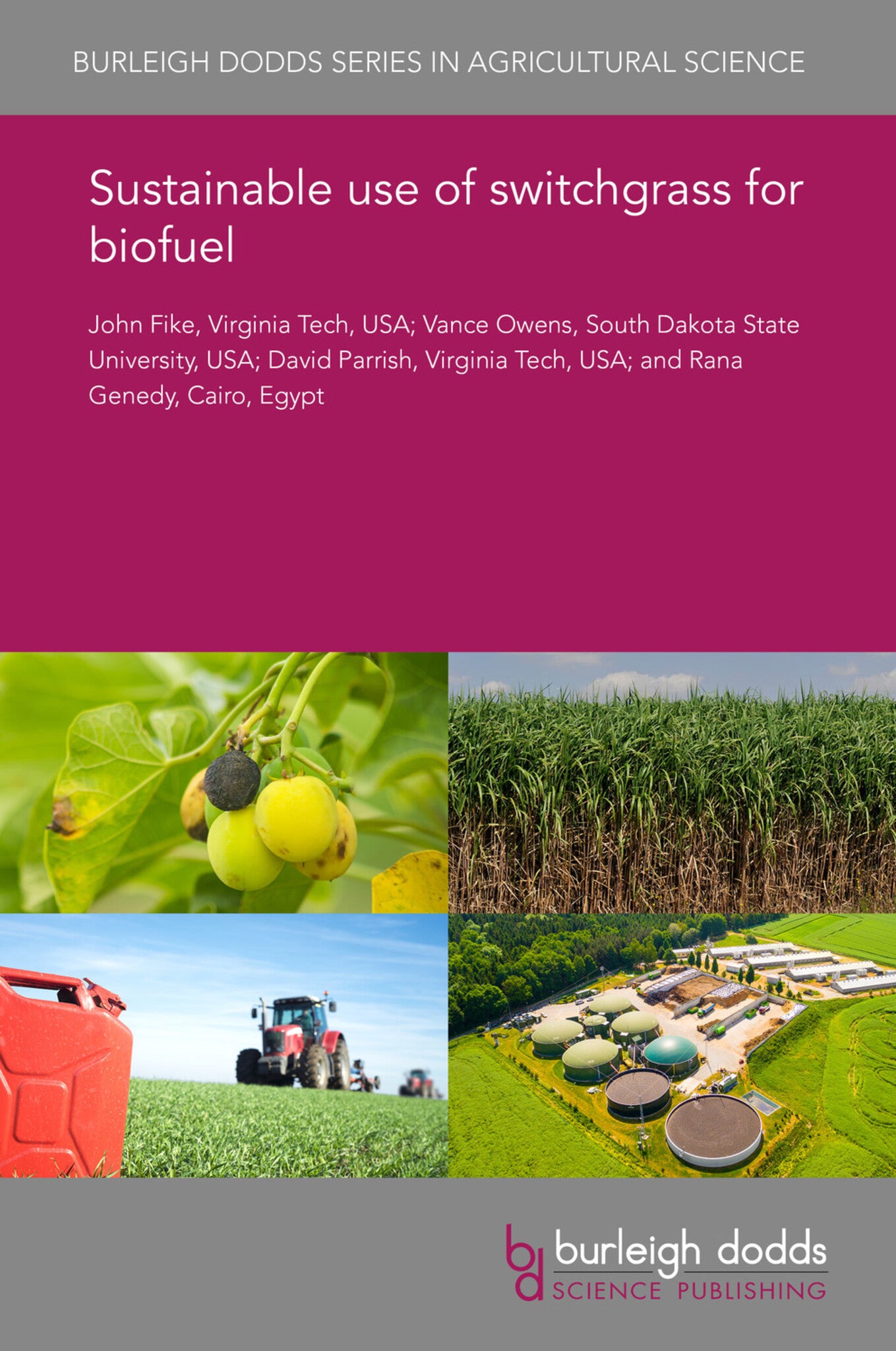 Cover image for Sustainable use of switchgrass for biofuel ISBN 9781786766304