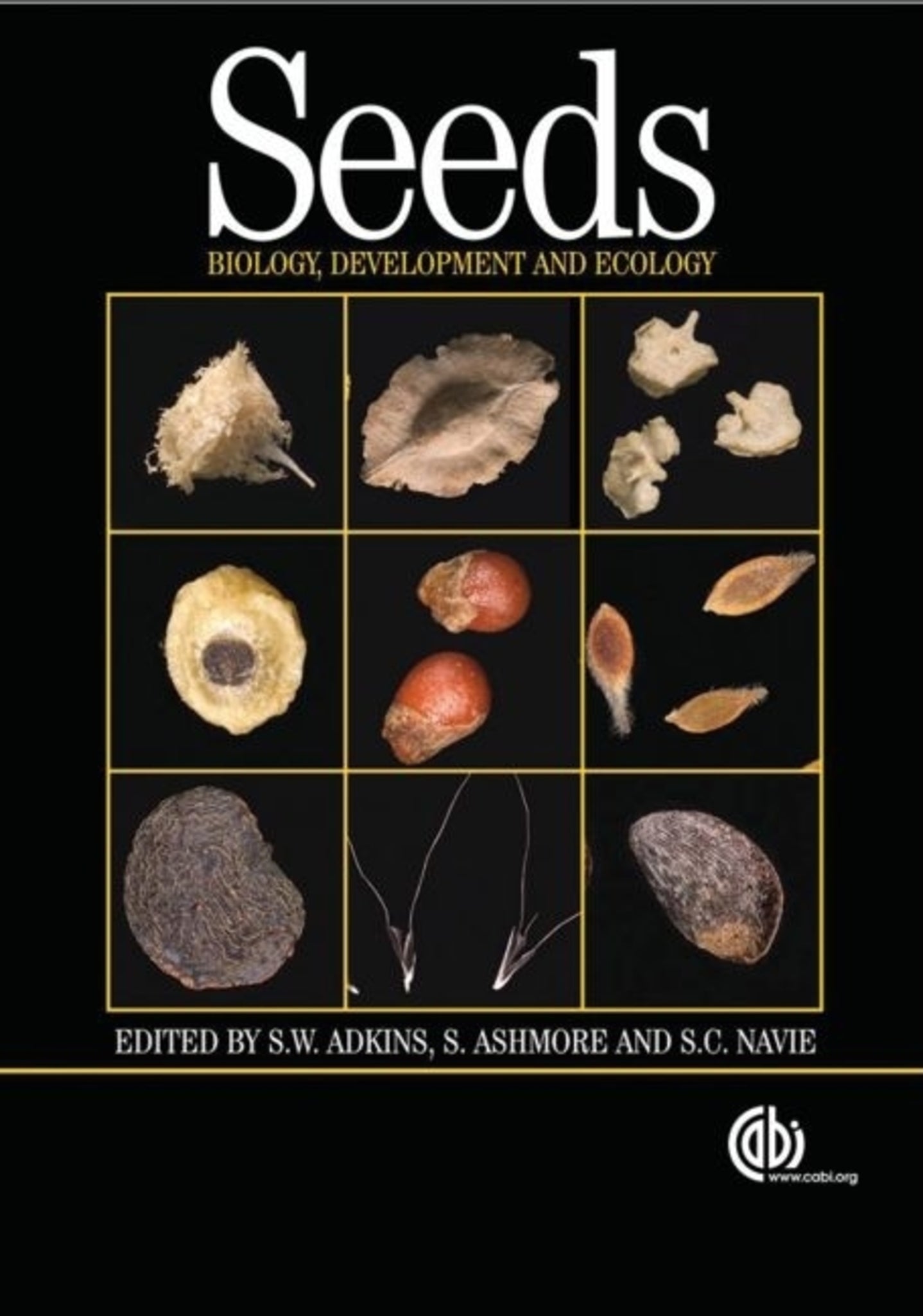 Seeds