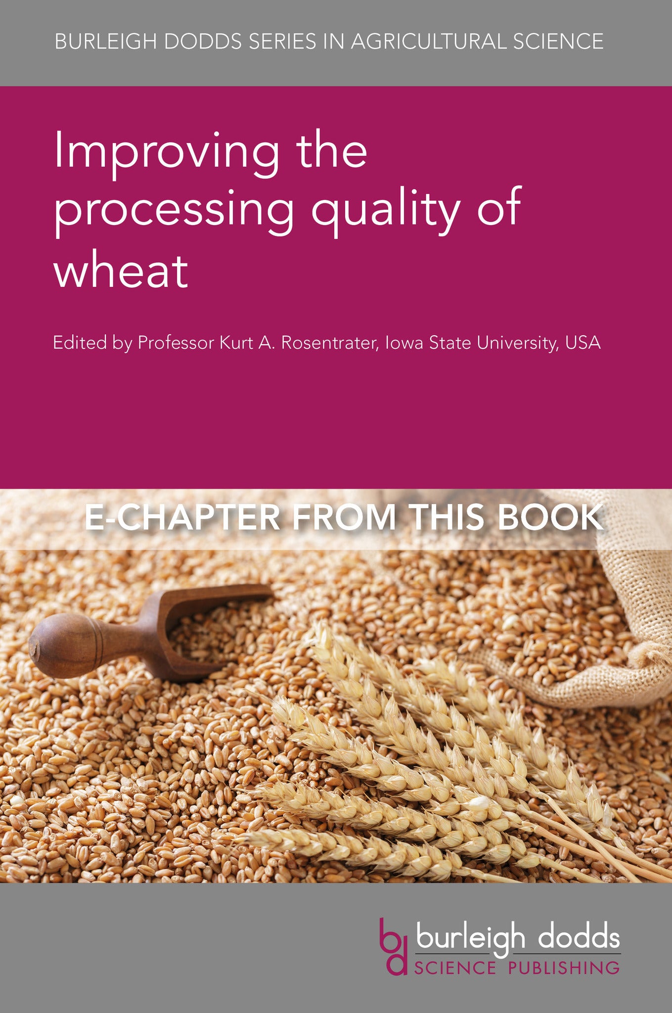 Cover image for Advances in understanding and optimising wheat processing quality: pan breadmaking ISBN 9781835458686