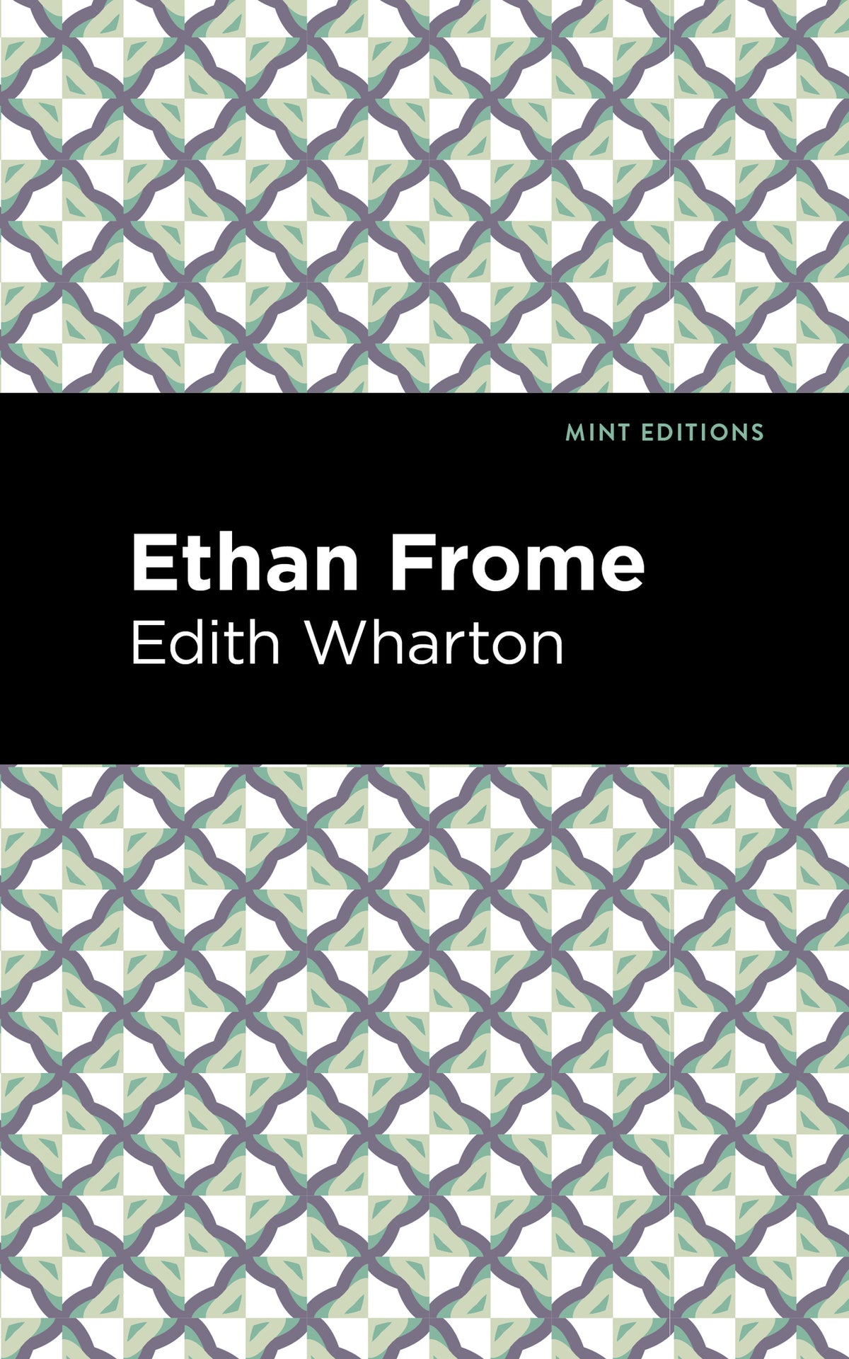 Cover image for Ethan Frome ISBN 9798888972199