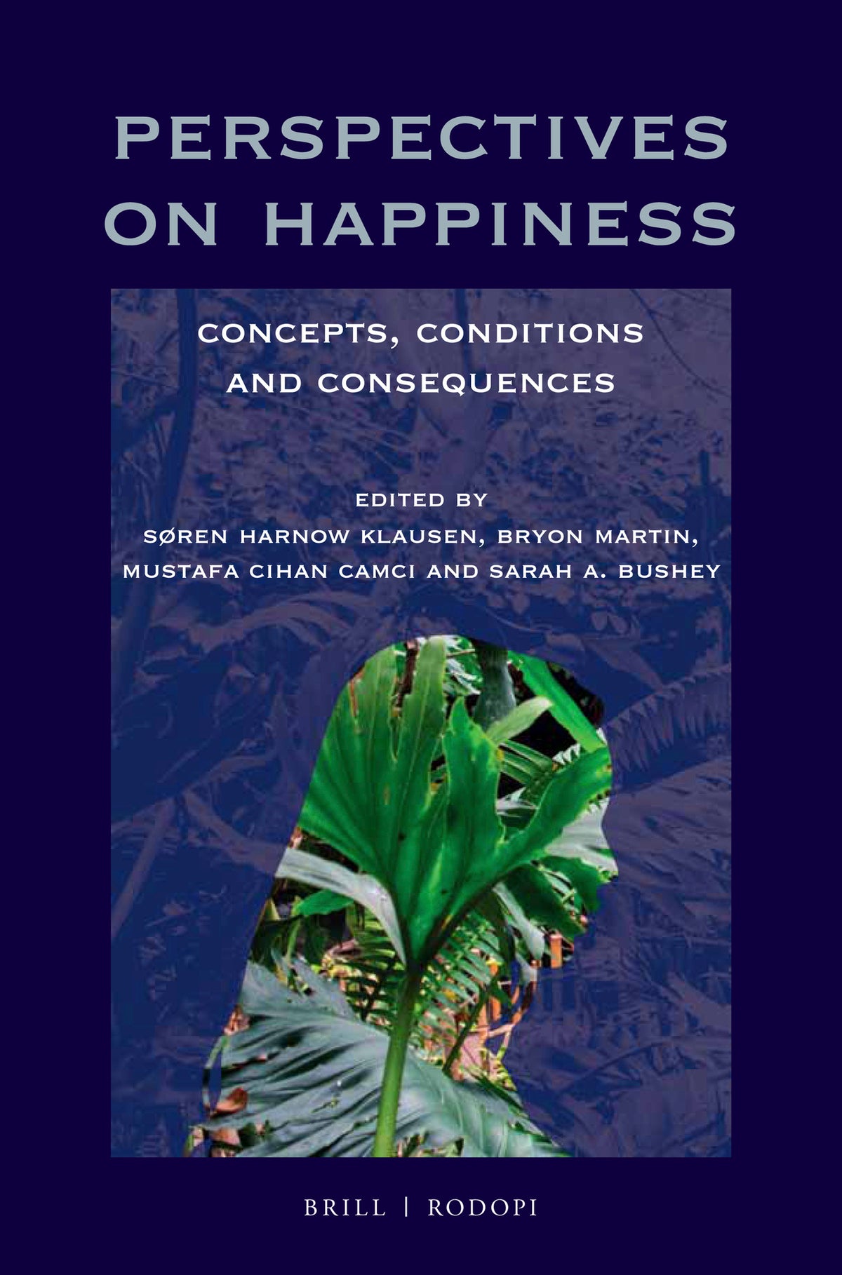 Cover image for Perspectives on Happiness ISBN 9789004382916