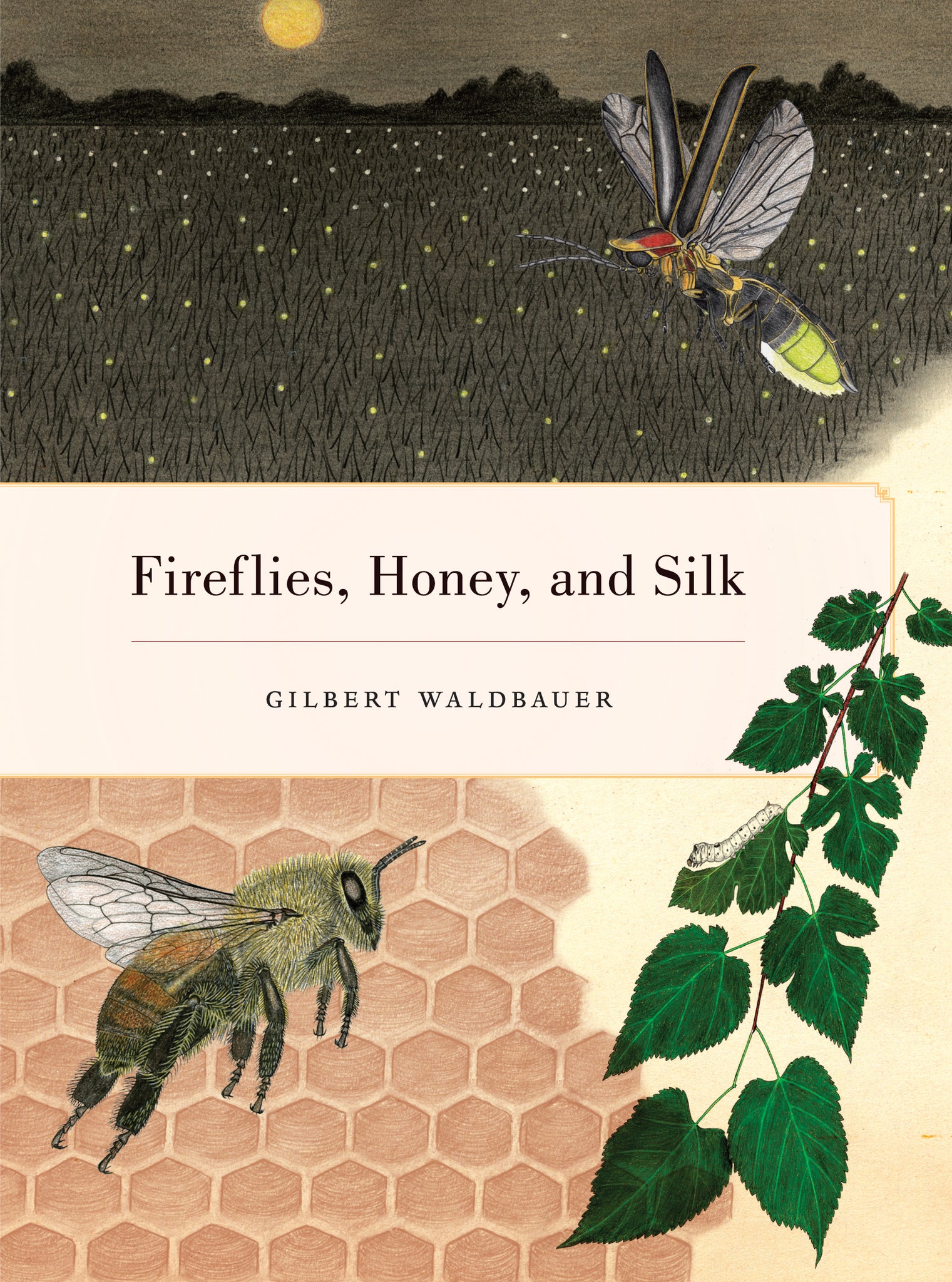 Cover image for Fireflies, Honey, and Silk ISBN 9780520944954