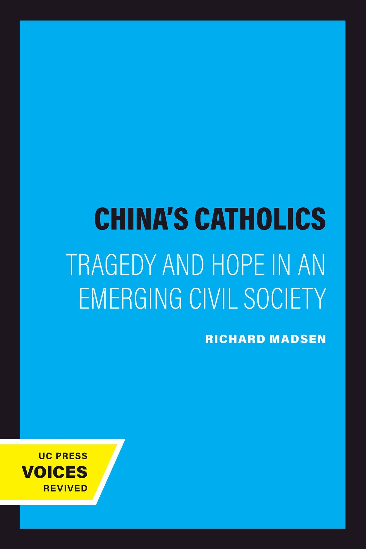 Cover image for China's Catholics ISBN 9780520213265