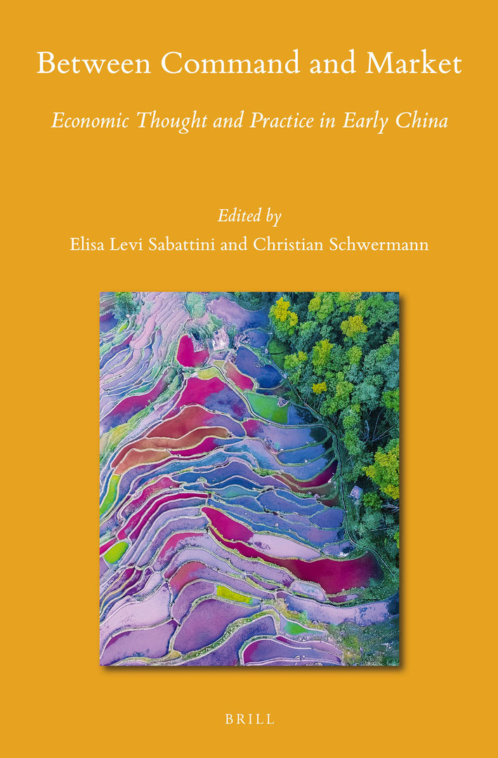 Cover image for Between Command and Market ISBN 9789004448636