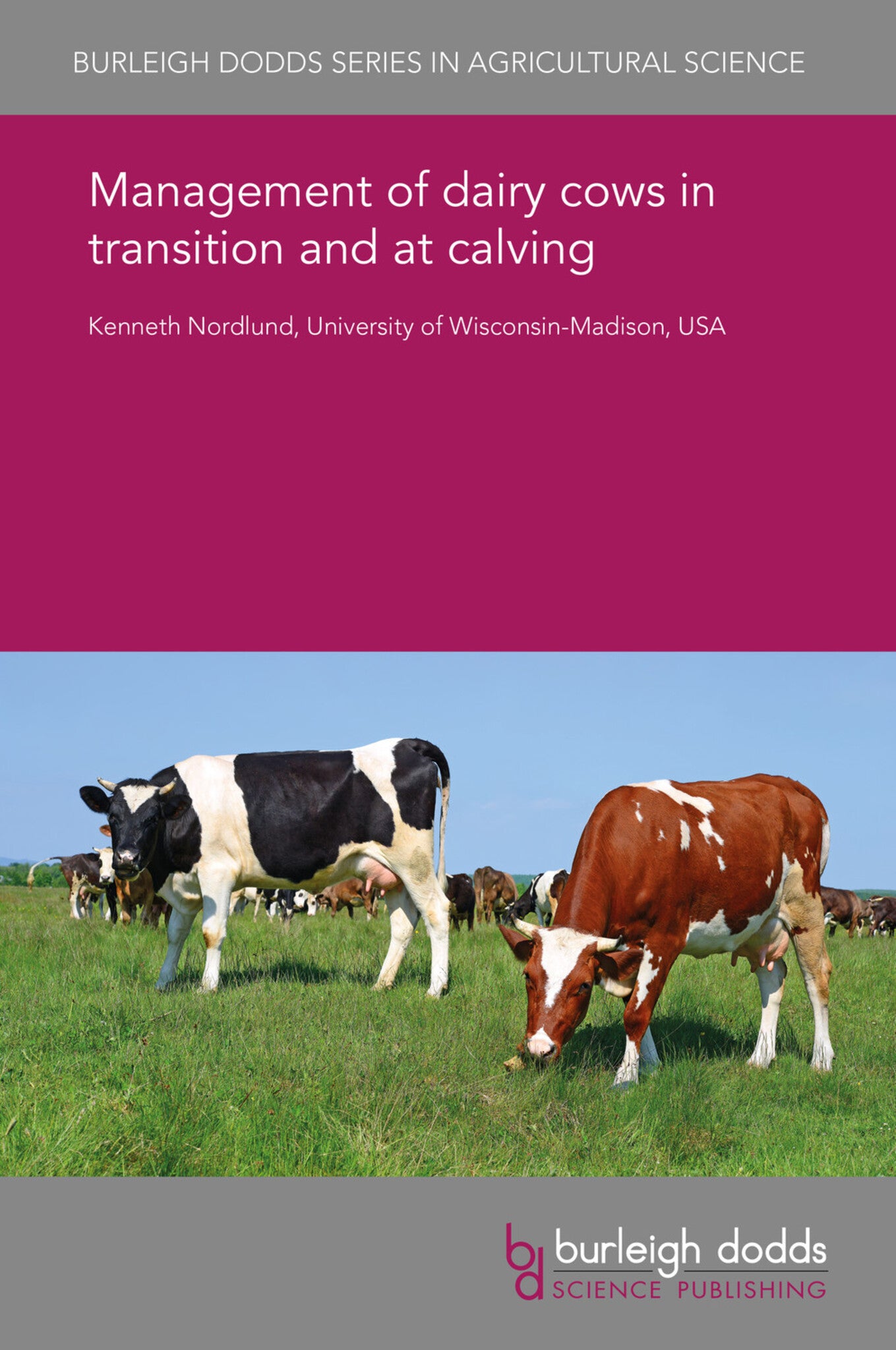 Cover image for Management of dairy cows in transition and at calving ISBN 9781838791735
