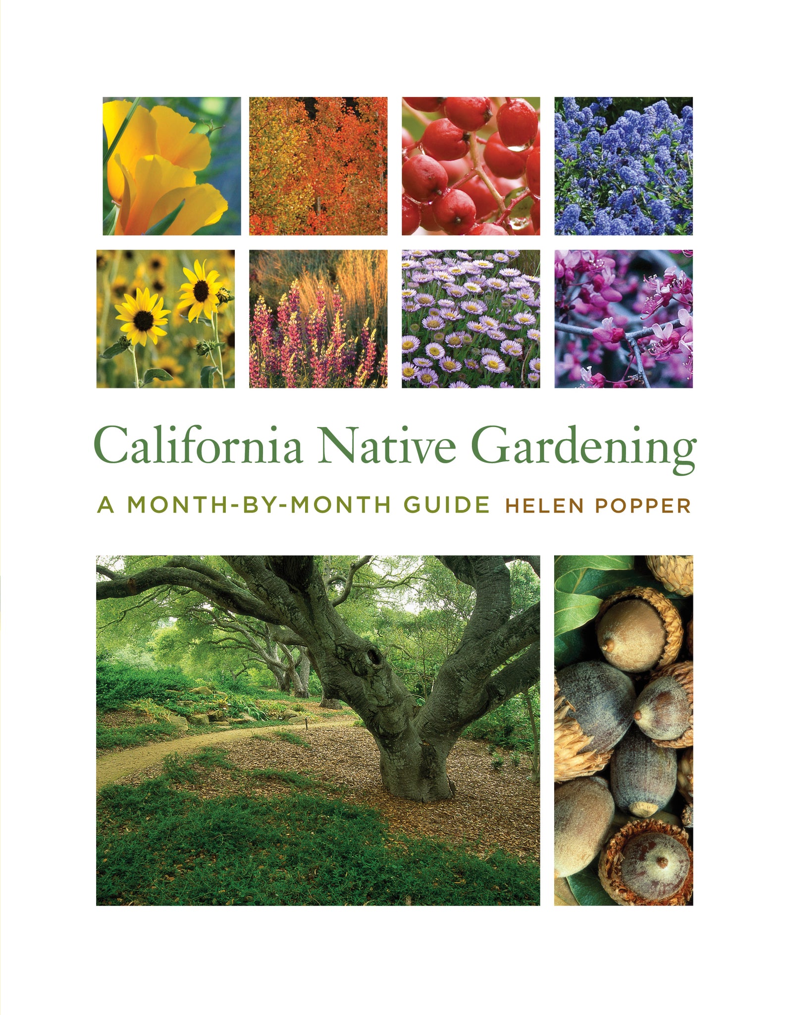 Cover image for California Native Gardening ISBN 9780520952232