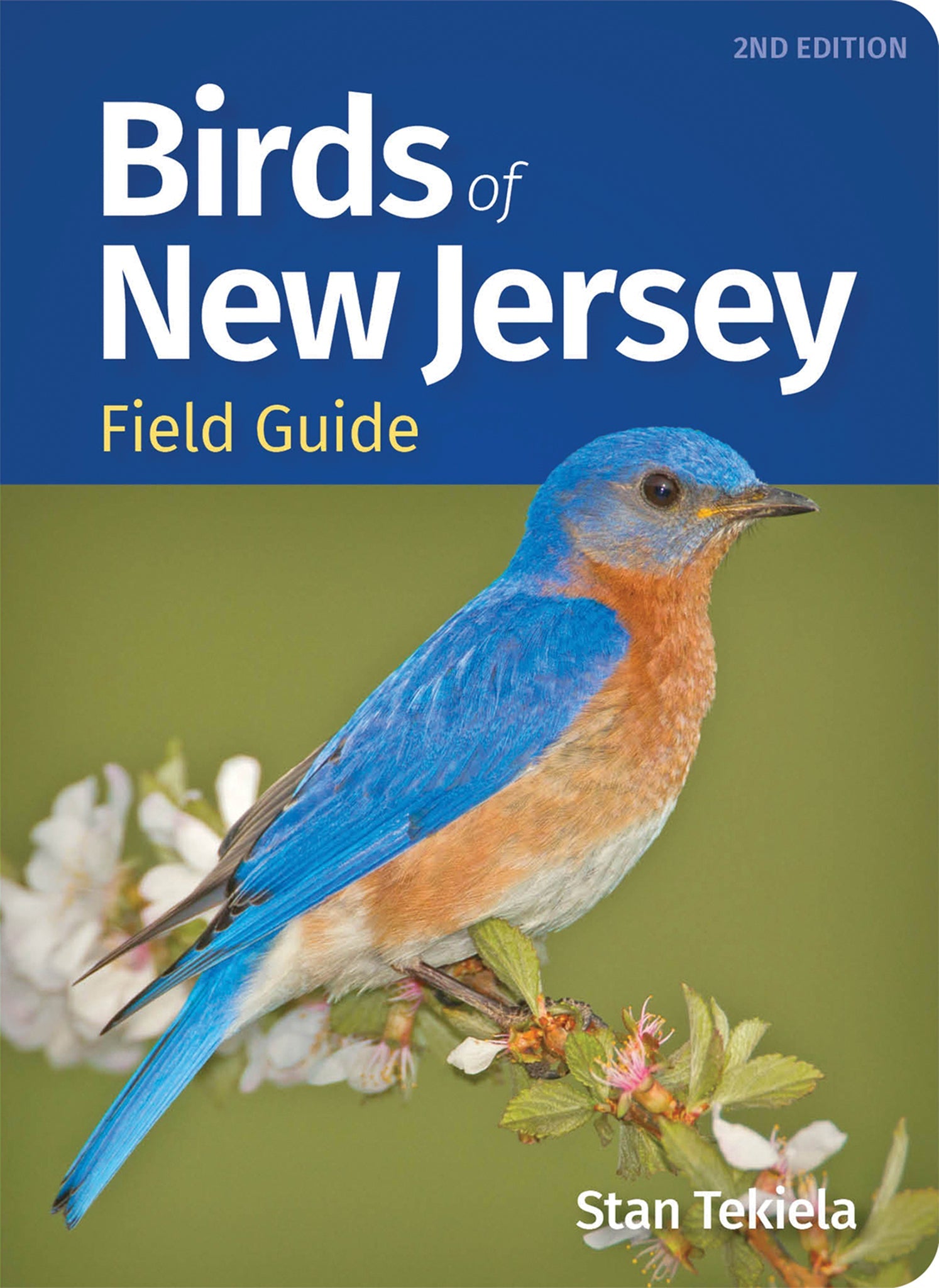 Cover image for Birds of New Jersey Field Guide ISBN 9781647553753