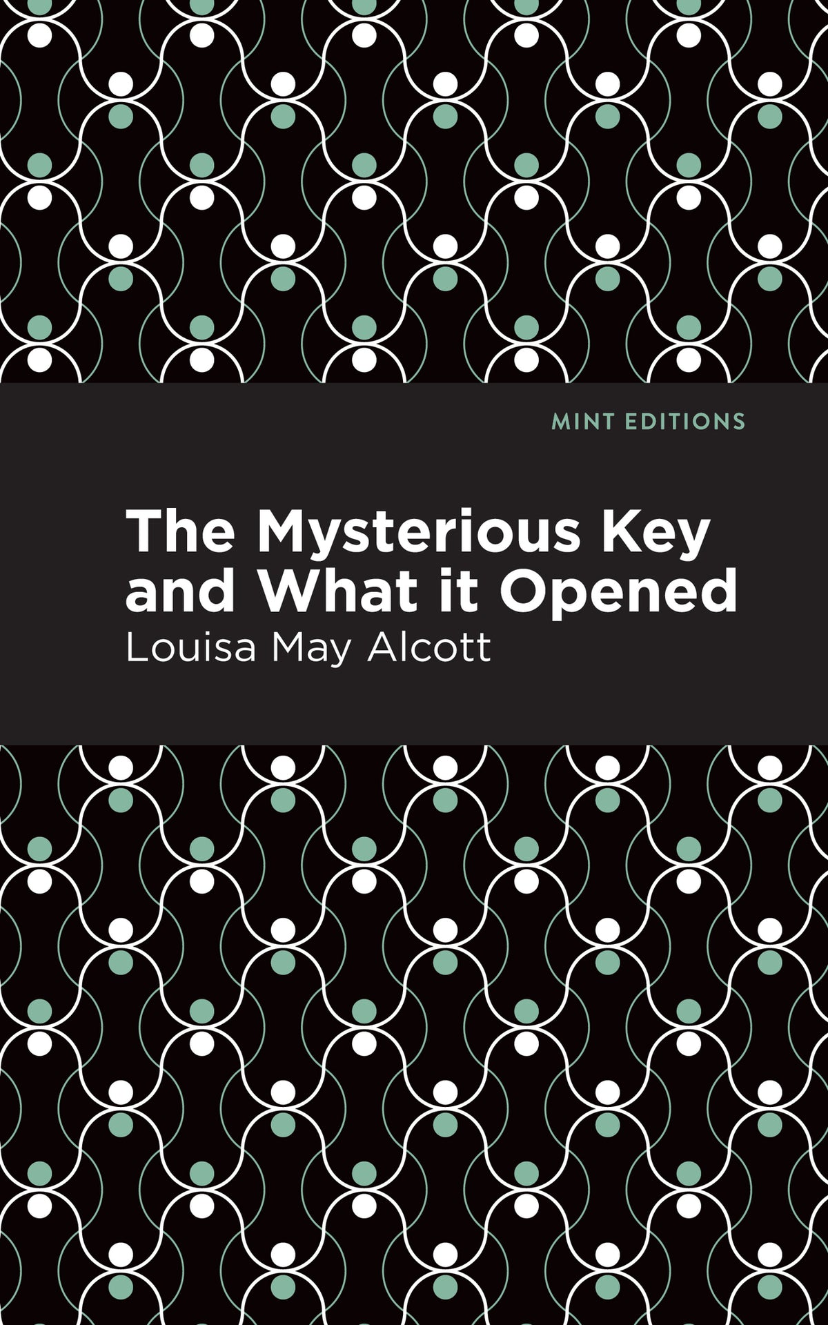 Cover image for The Mysterious Key and What it Opened ISBN 9798888973653