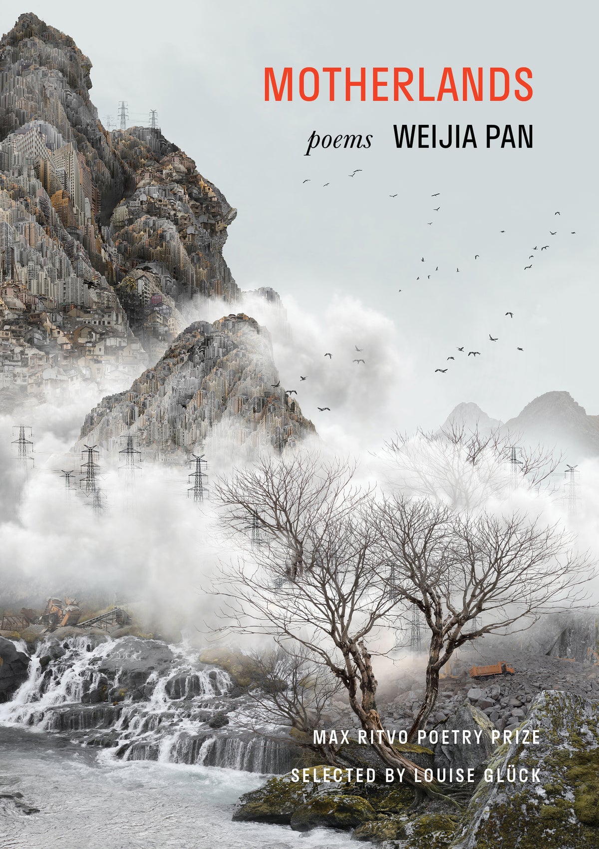 Cover image for Motherlands ISBN 9781639551132