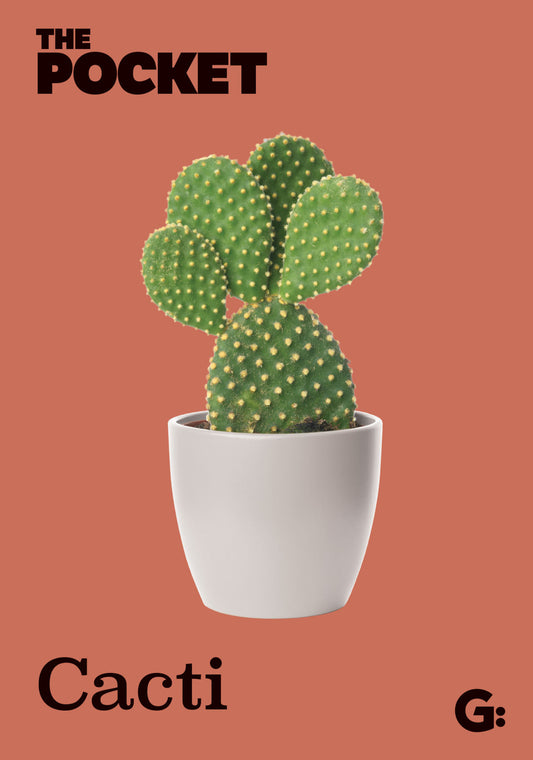 The Pocket Cacti