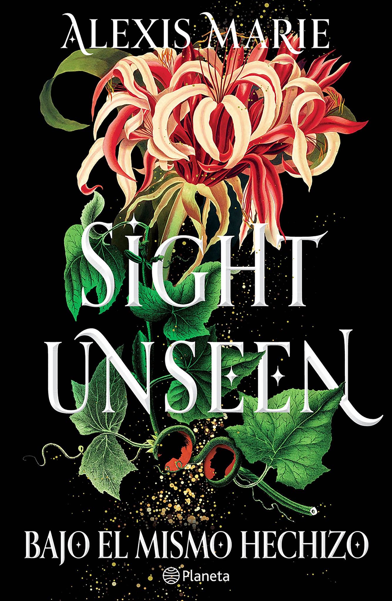 Sight Unseen: Bajo el mismo hechizo / Sight Unseen