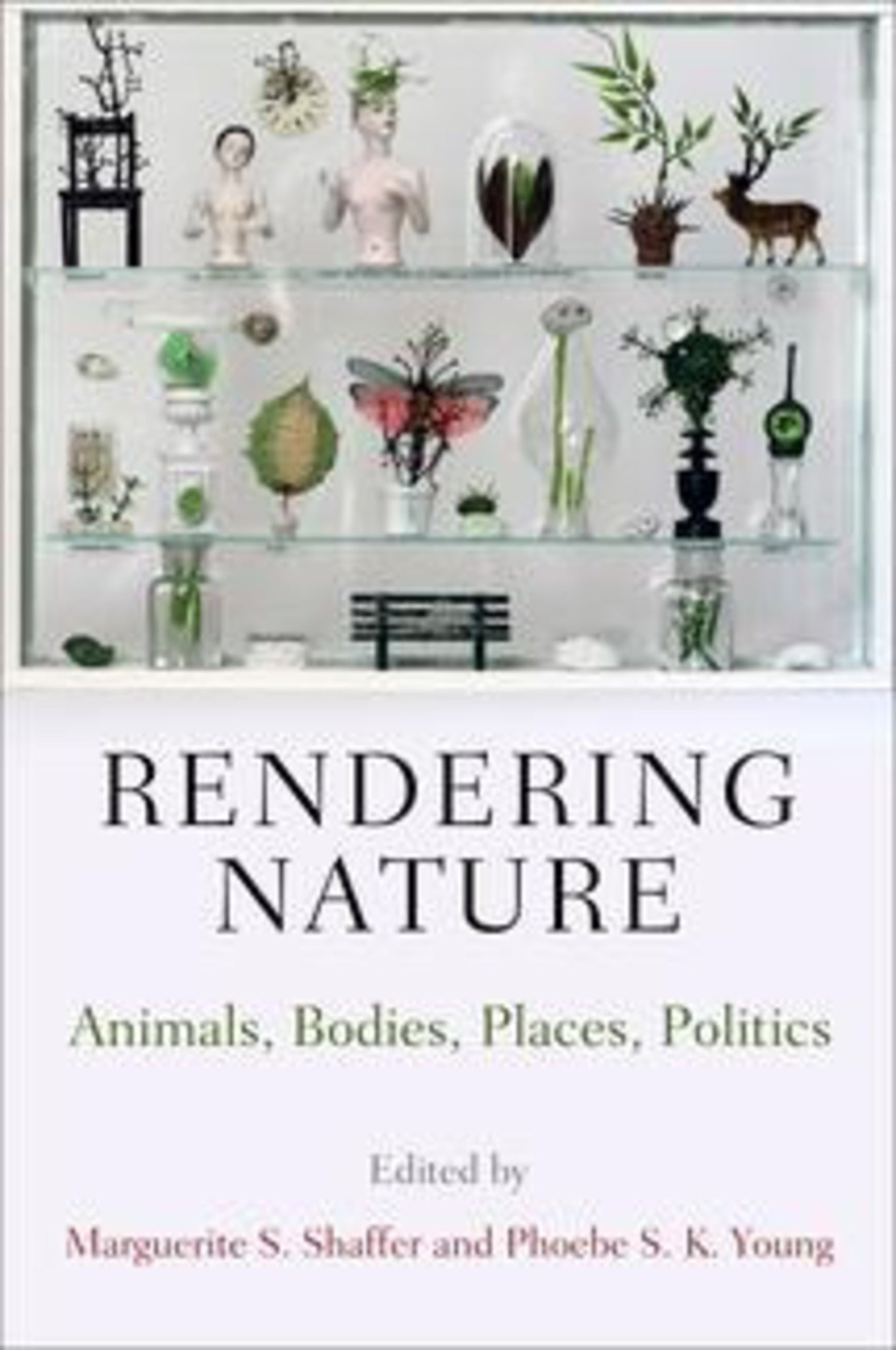 Rendering Nature