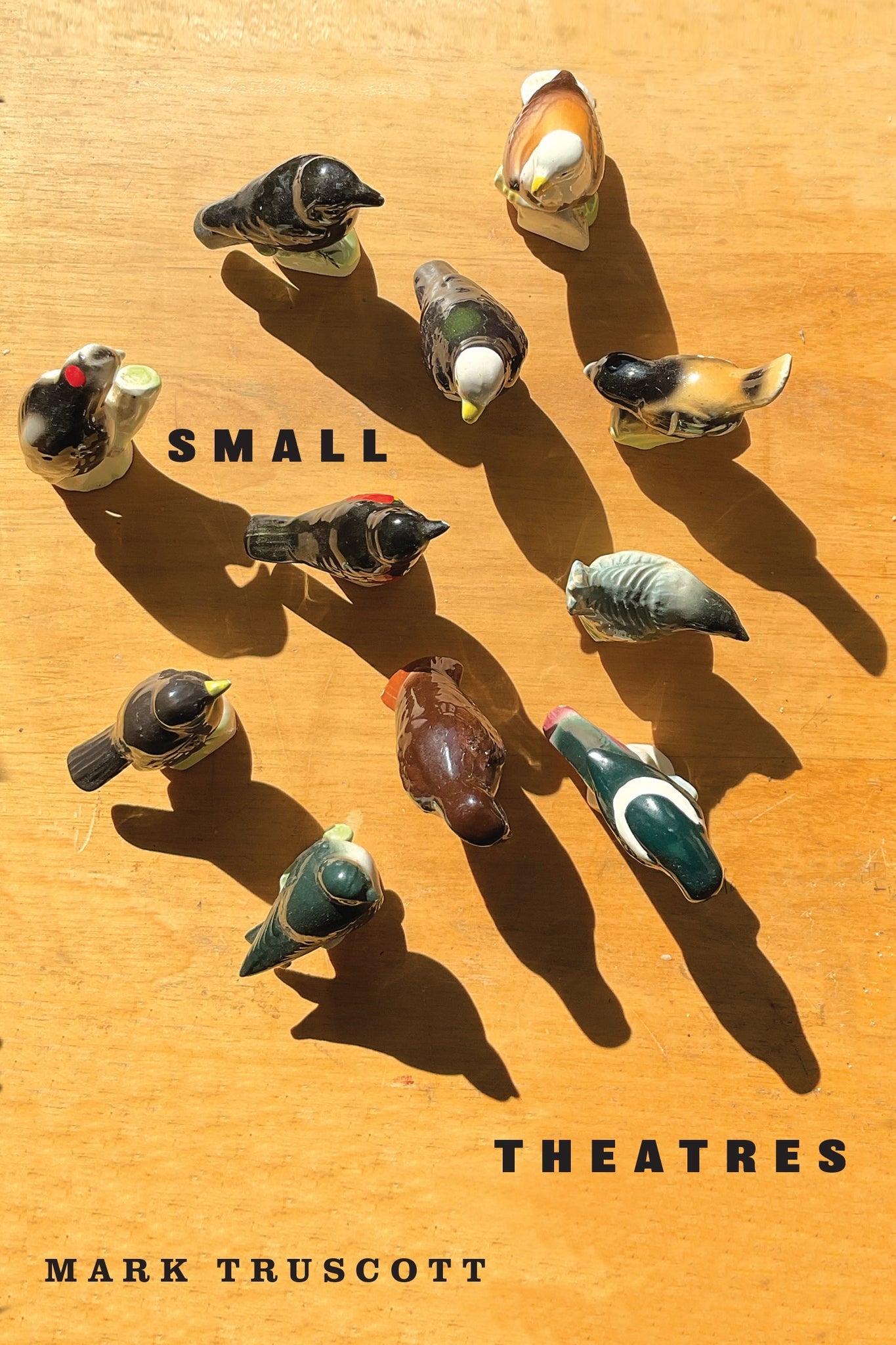 Cover image for Small Theatres ISBN 9780228028529