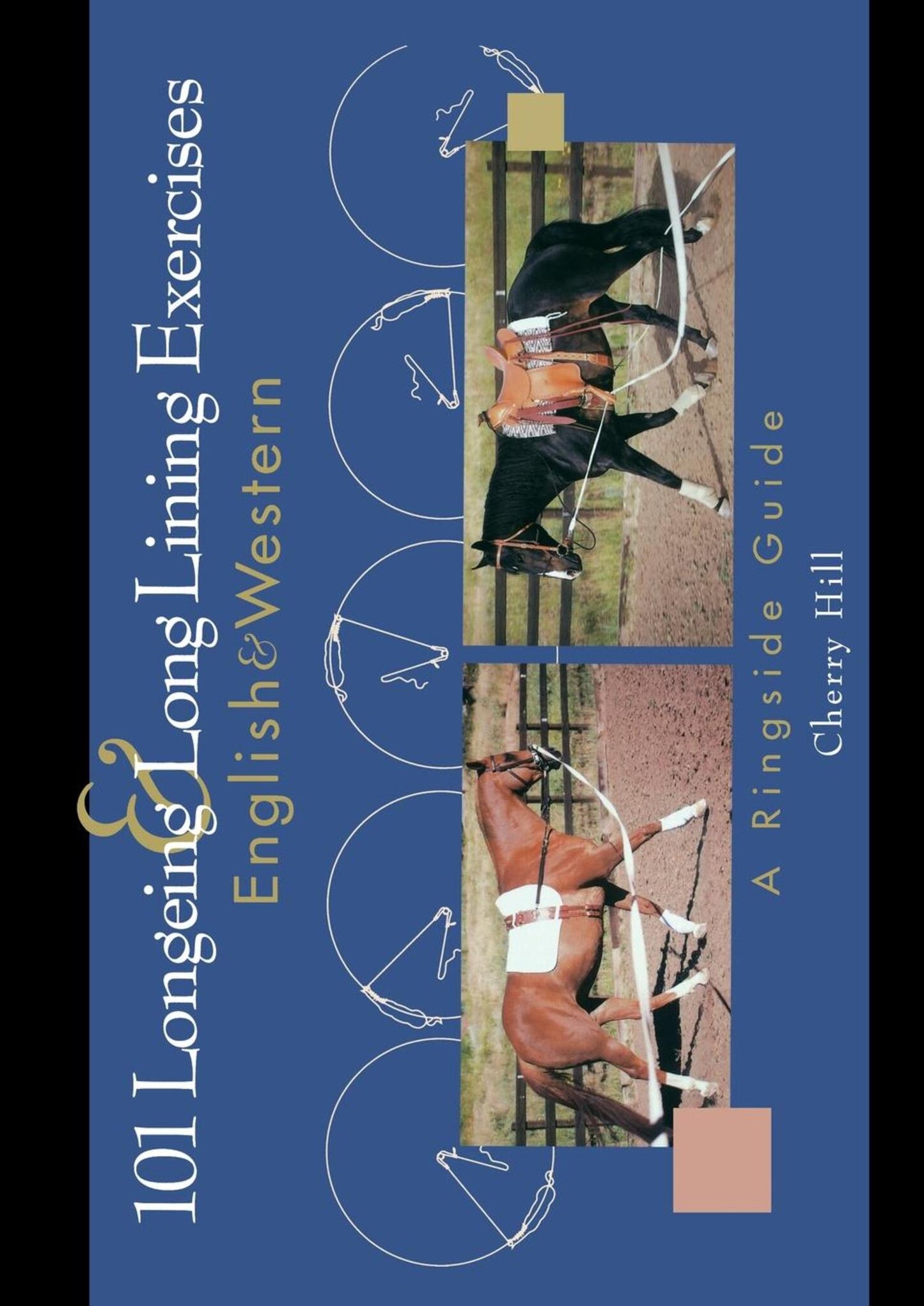 101 Longeing and Long Lining Exercises