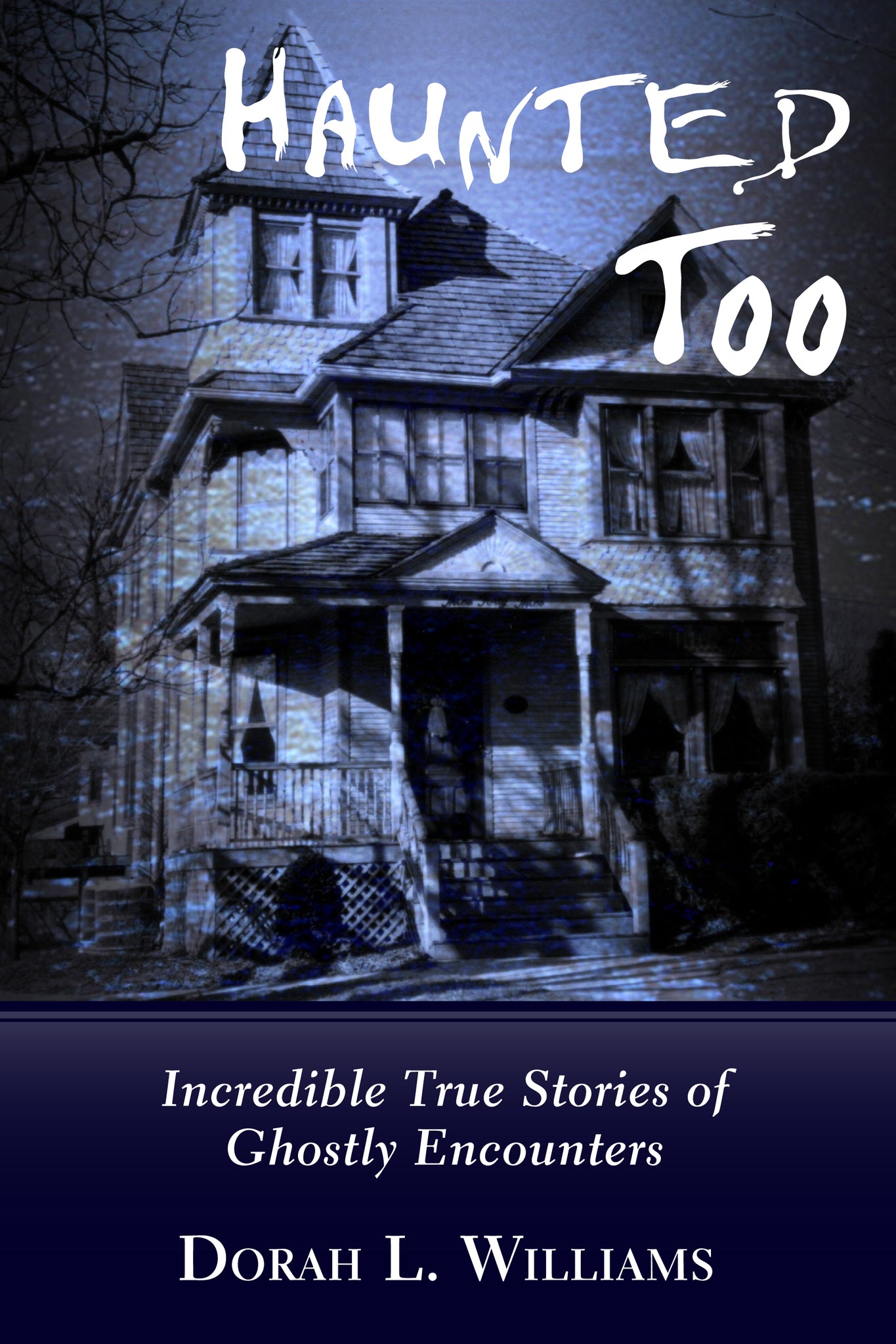 Cover image for Haunted Too ISBN 9781459706088