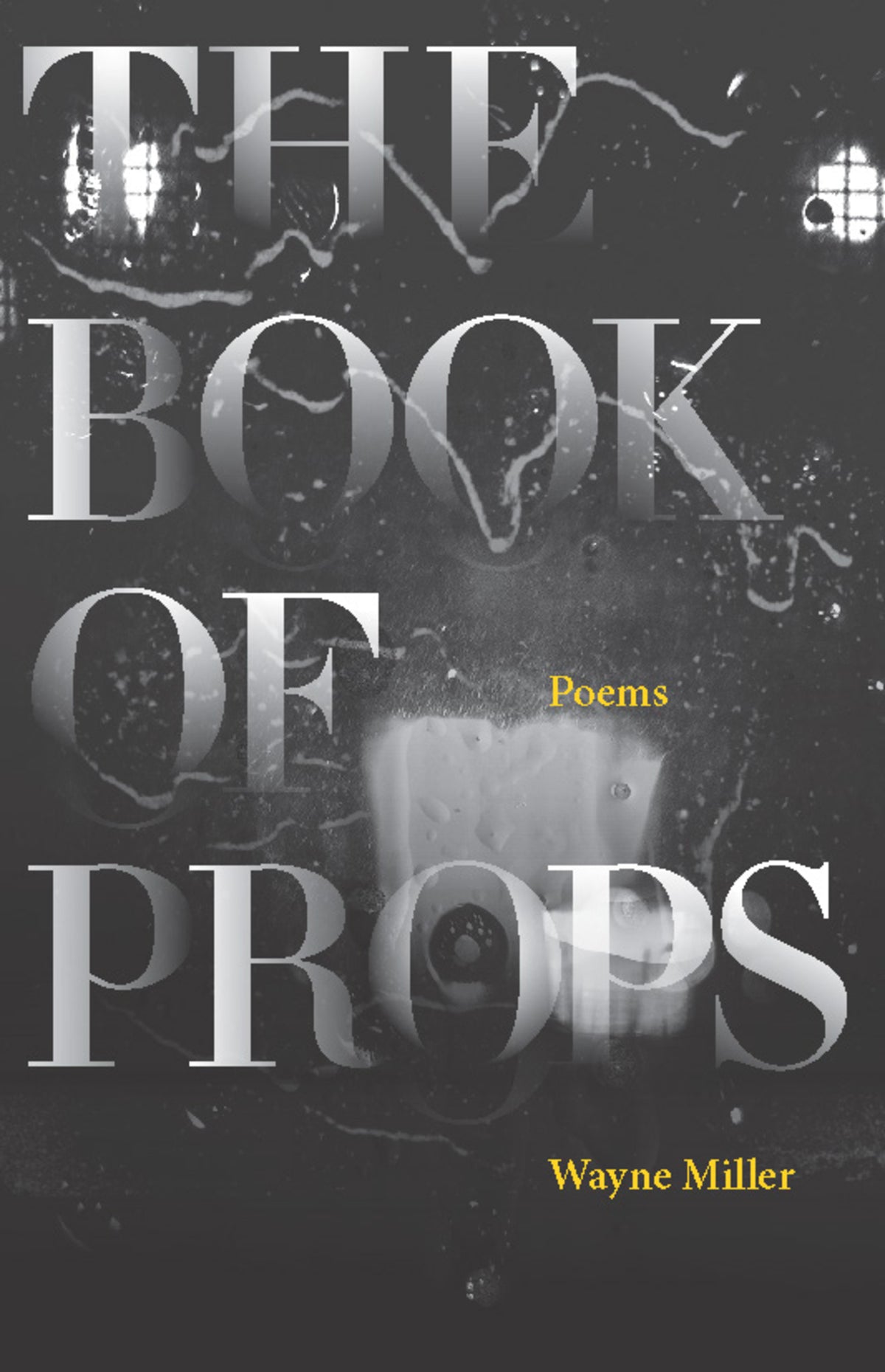 Cover image for The Book of Props ISBN 9781571314352