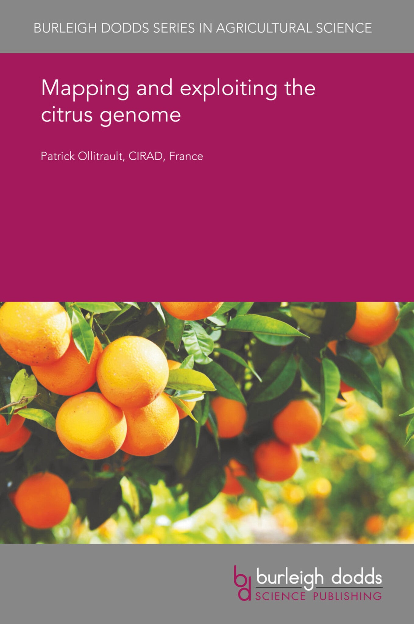 Cover image for Mapping and exploiting the citrus genome ISBN 9781786765291