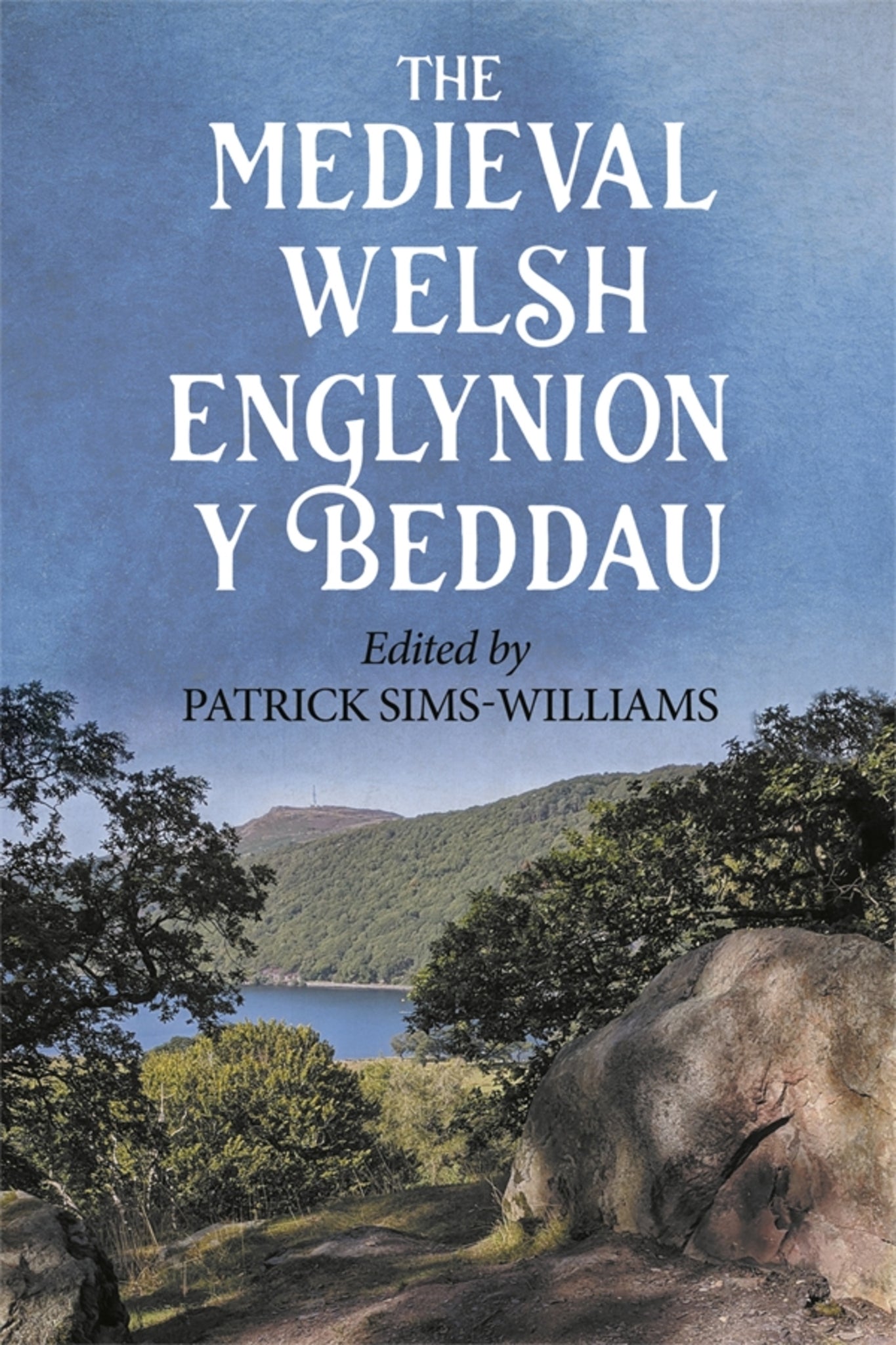 Cover image for The Medieval Welsh Englynion y Beddau ISBN 9781843847069