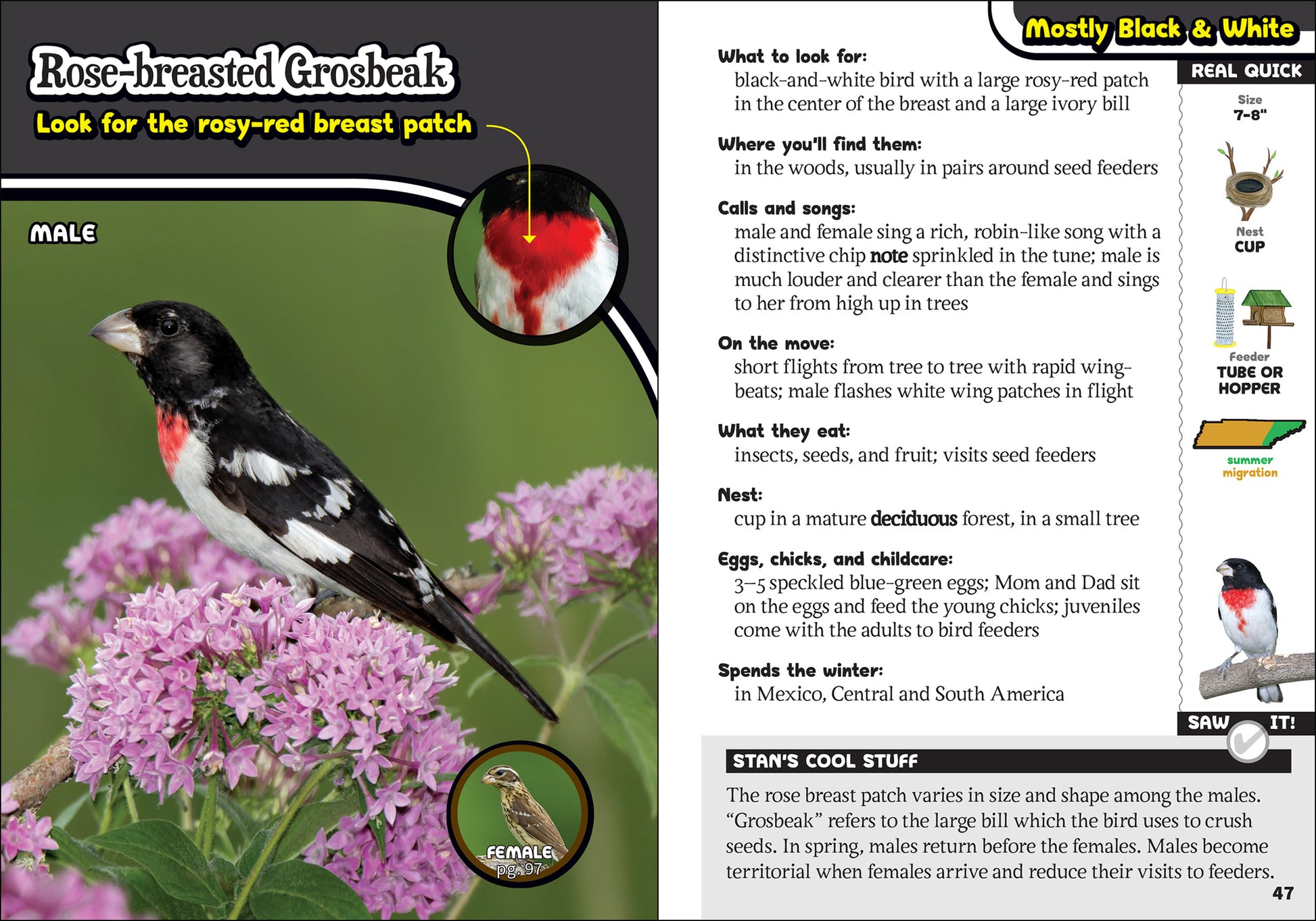 The Kids' Guide to Birds of Tennessee
