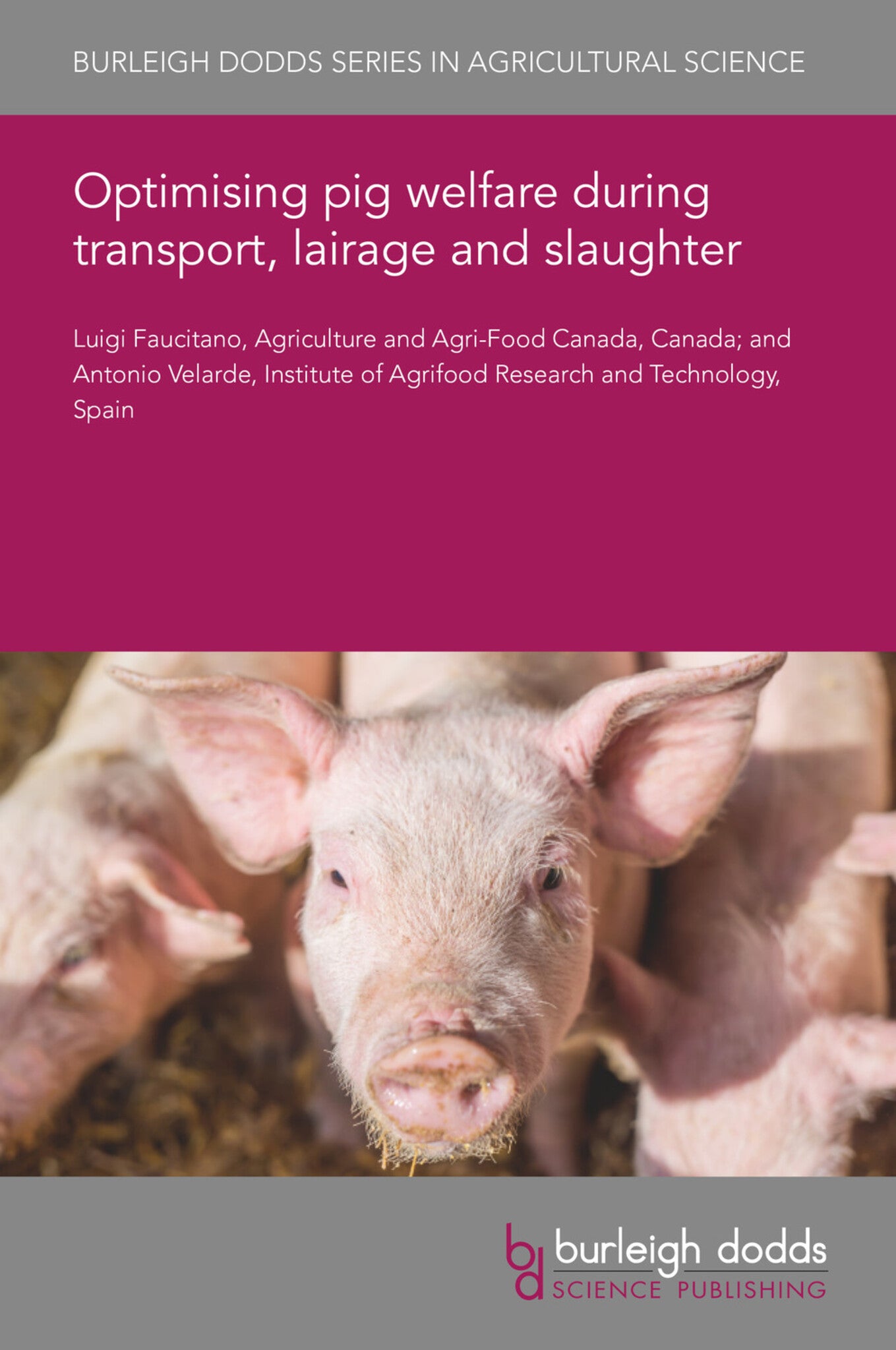 Cover image for Optimising pig welfare during transport, lairage and slaughter ISBN 9781801460286