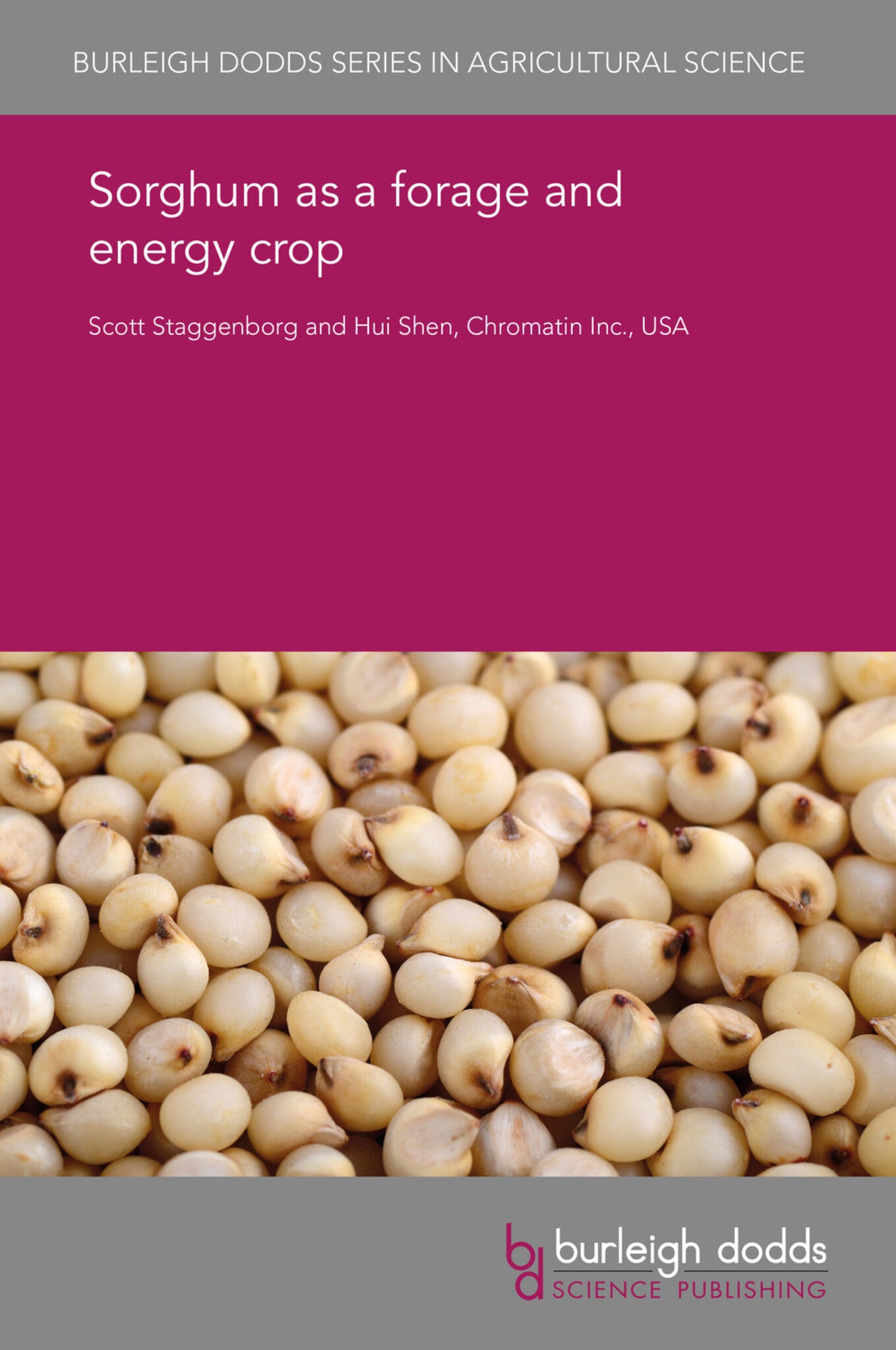 Cover image for Sorghum as a forage and energy crop ISBN 9781838795498