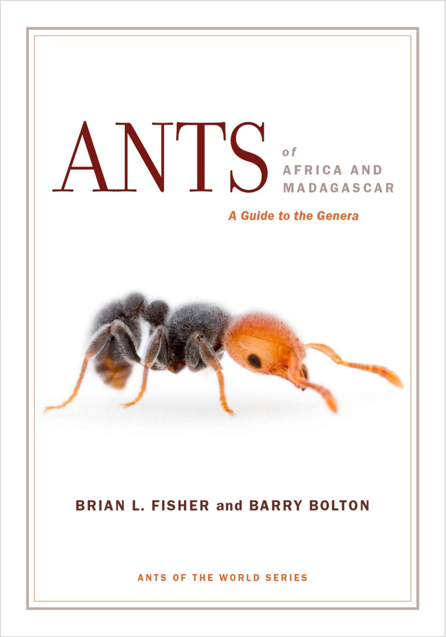 Cover image for Ants of Africa and Madagascar ISBN 9780520962996