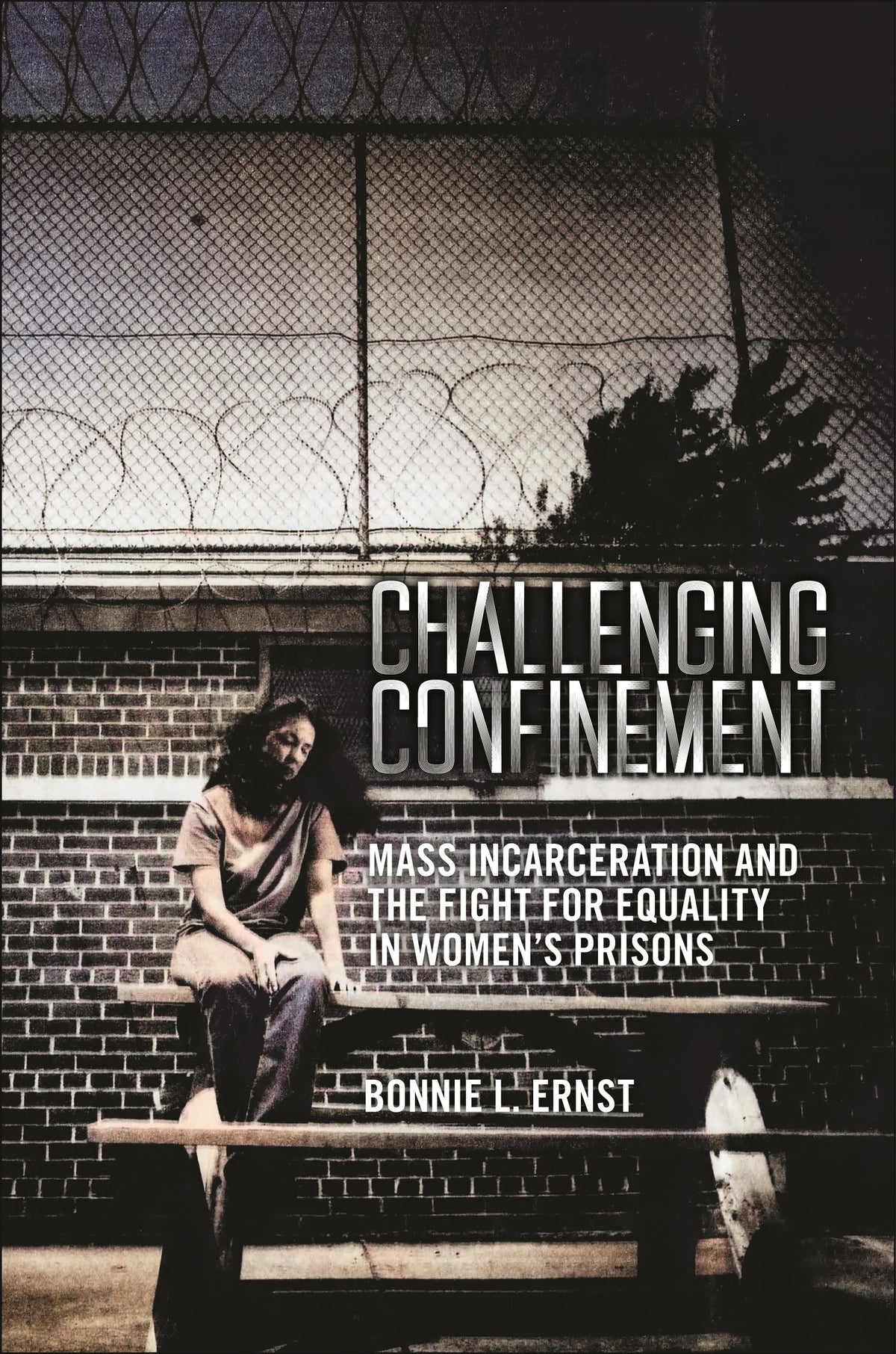 Cover image for Challenging Confinement ISBN 9781479825585