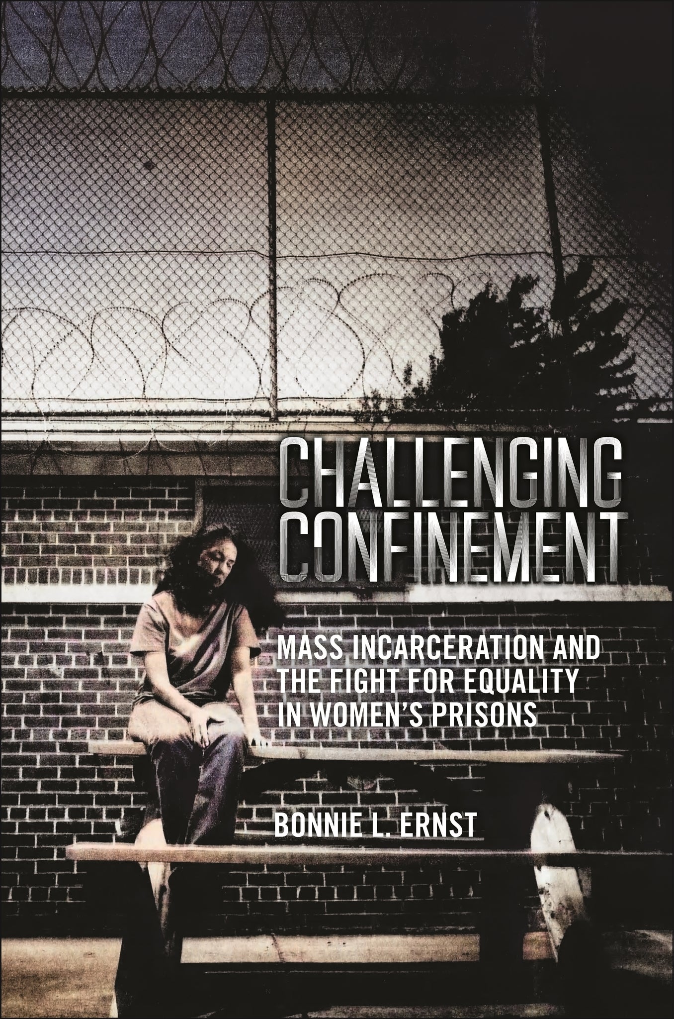 Cover image for Challenging Confinement ISBN 9781479825585