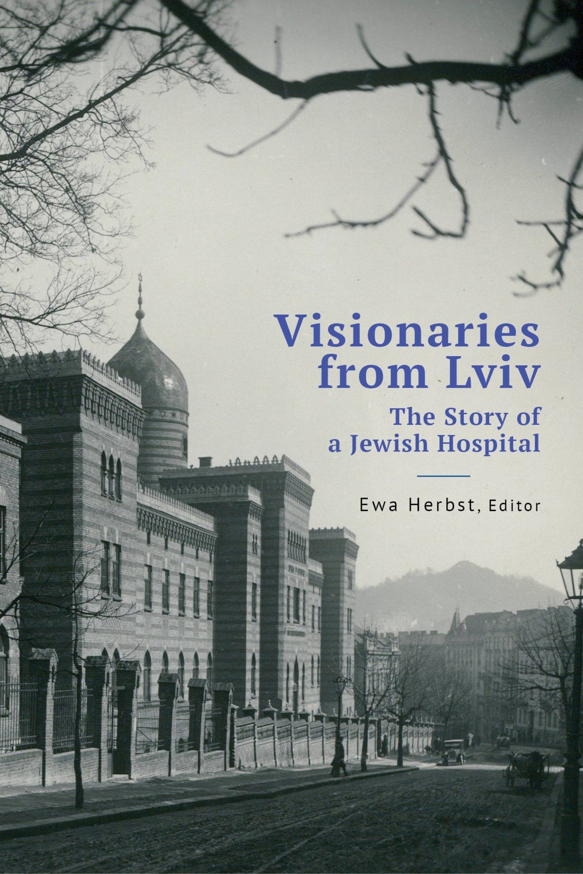 Cover image for Visionaries from Lviv ISBN 9798887192543