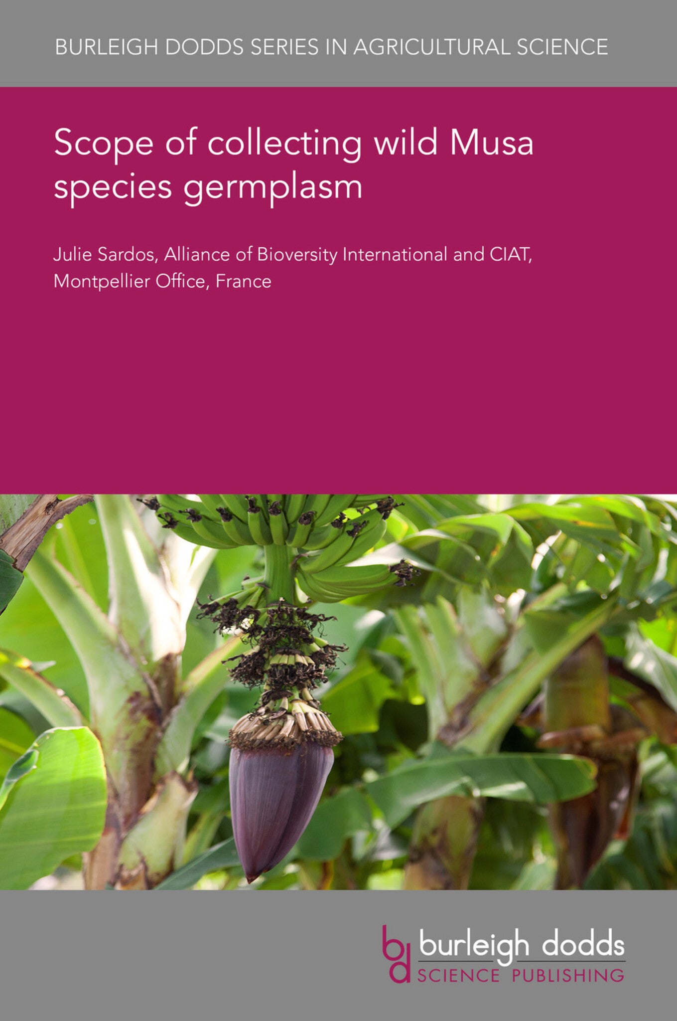 Cover image for Scope of collecting wild Musa species germplasm ISBN 9781786769404