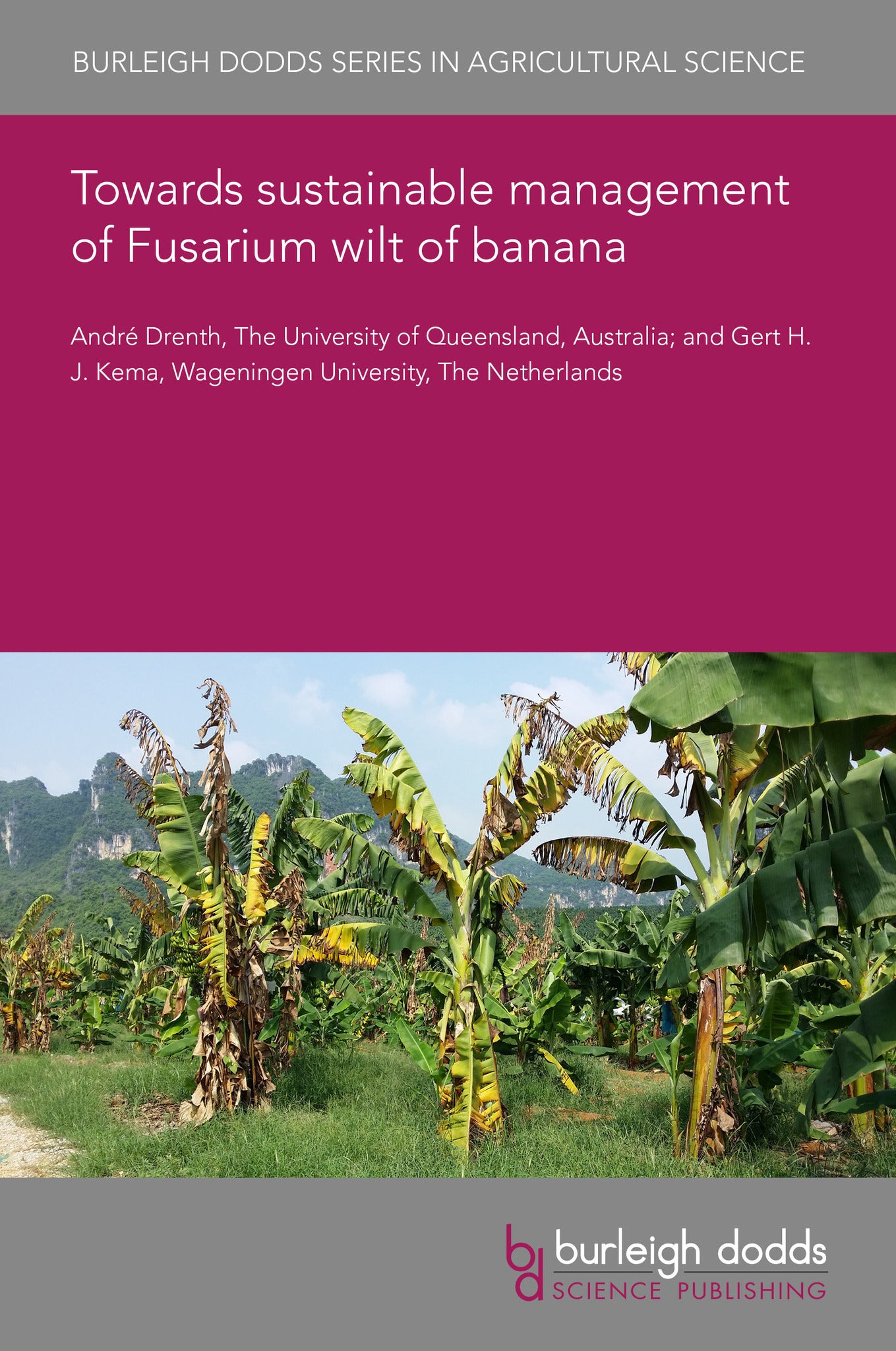 Cover image for Towards sustainable management of Fusarium wilt of banana ISBN 9781835451052